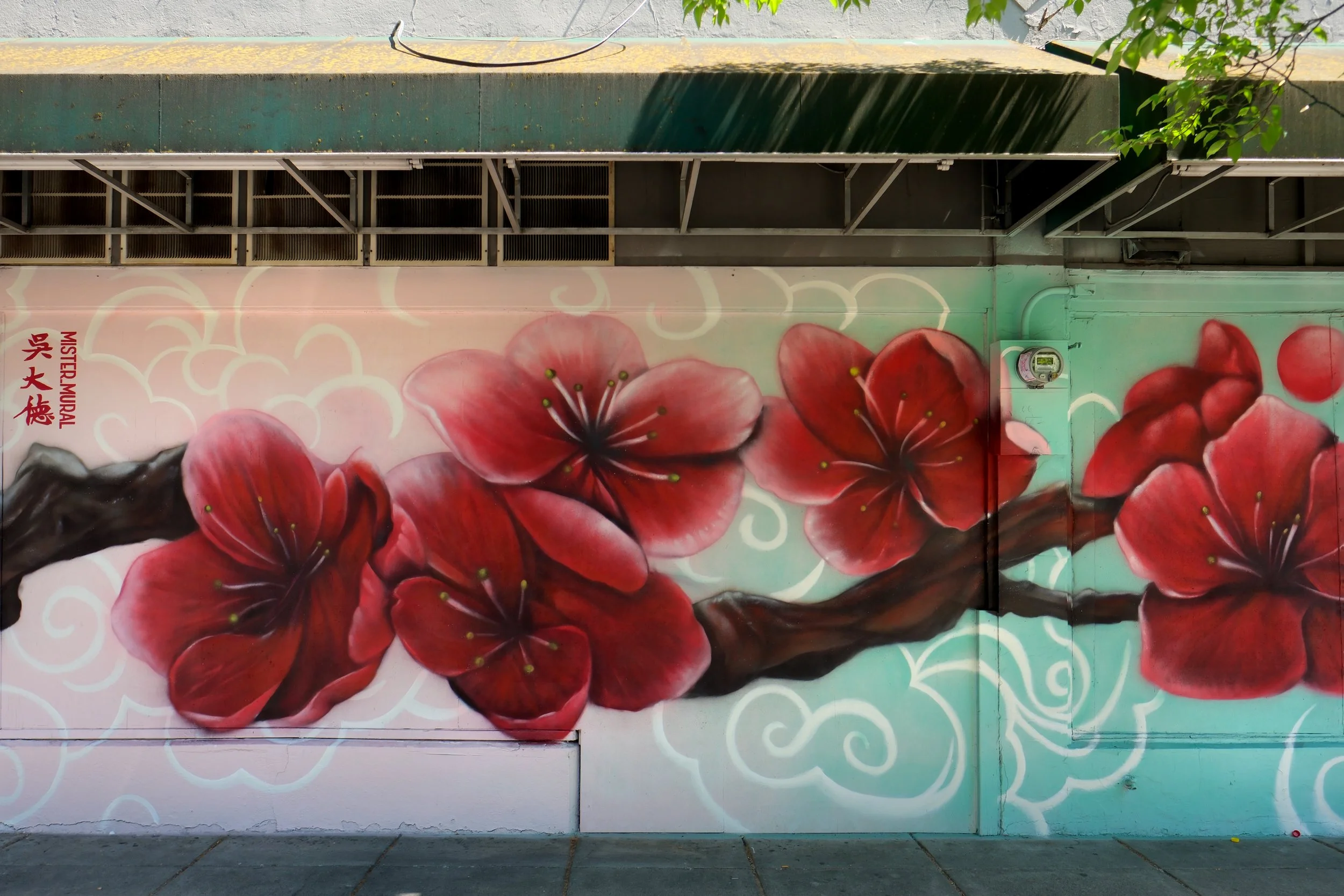 DSCF0770.JPG