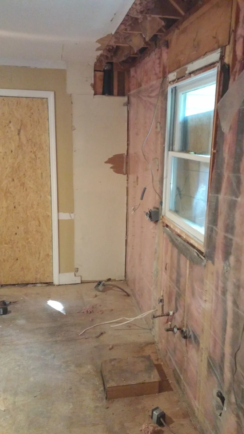 Demolition and revealing the existing conditions.
