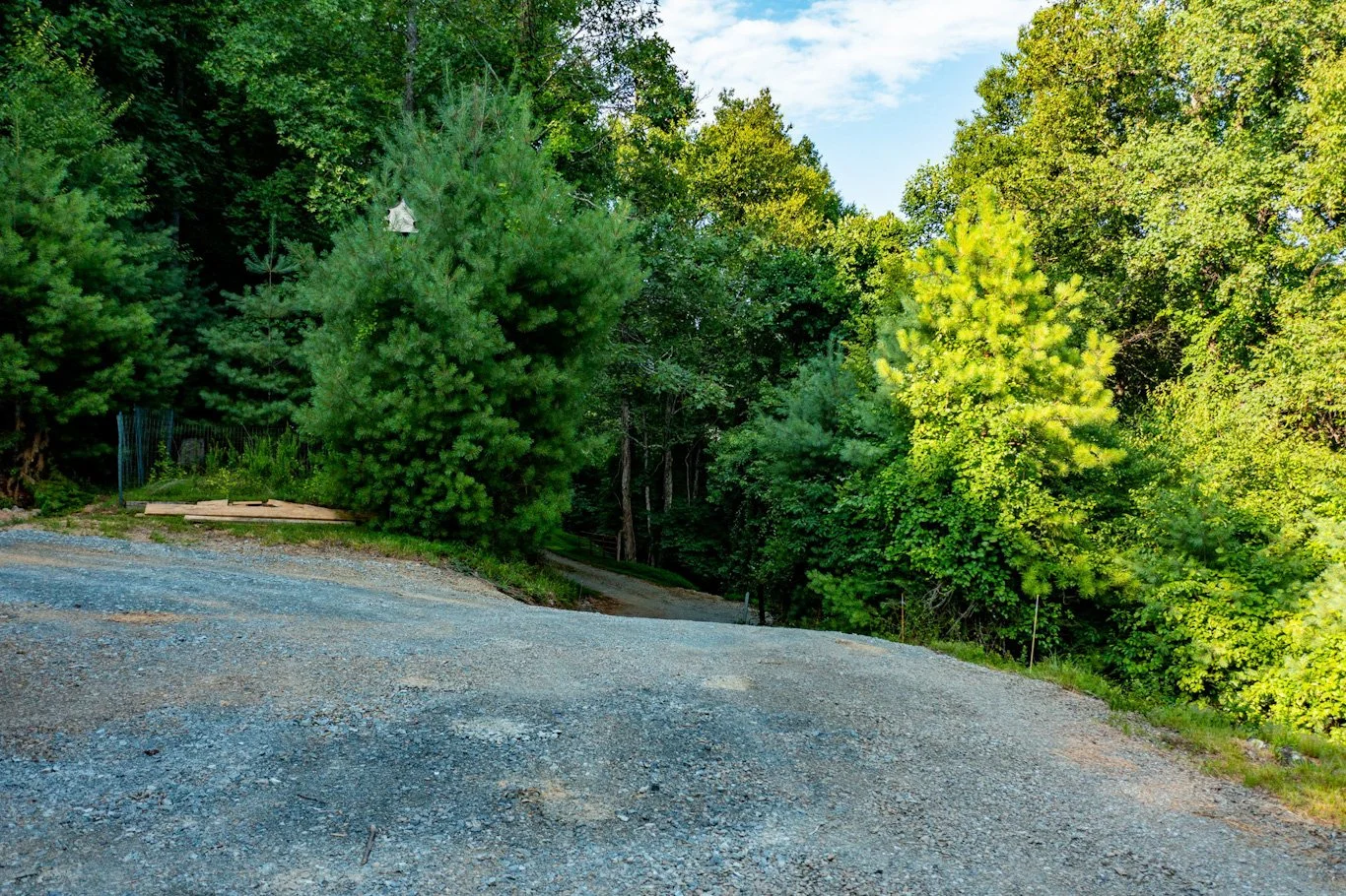 65-web-or-mls-197toddmountain-66_edited.jpg