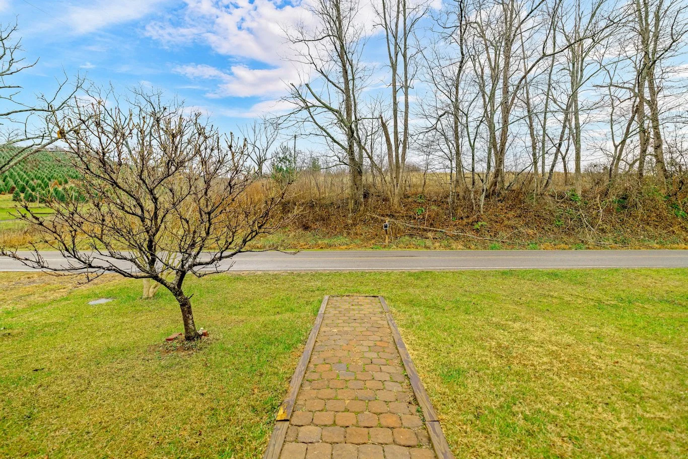 11-web-or-mls-273 Walnut Branch Church Rd Finished-32_edited.jpg