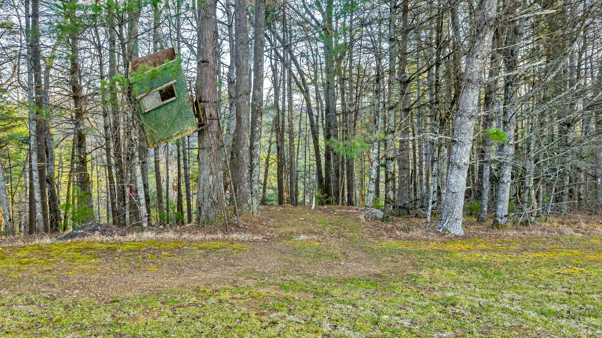 4-web-or-mls-173 Wilderness Family Trail Finished-5.jpg