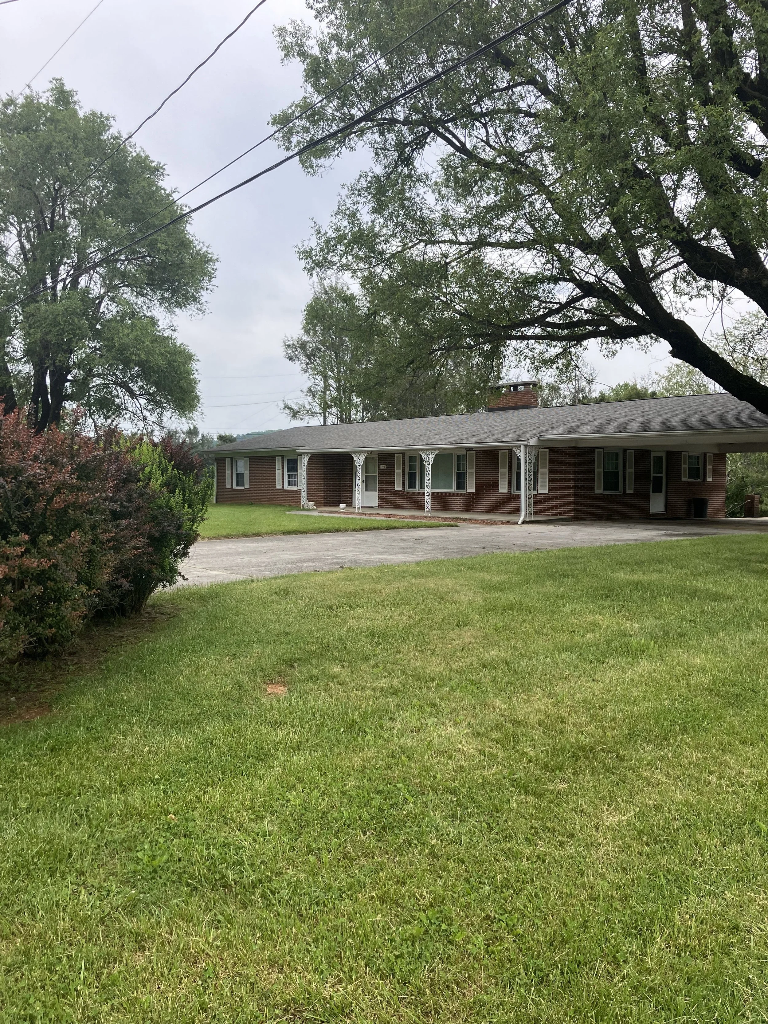 Kemp street IMG_0651.jpg