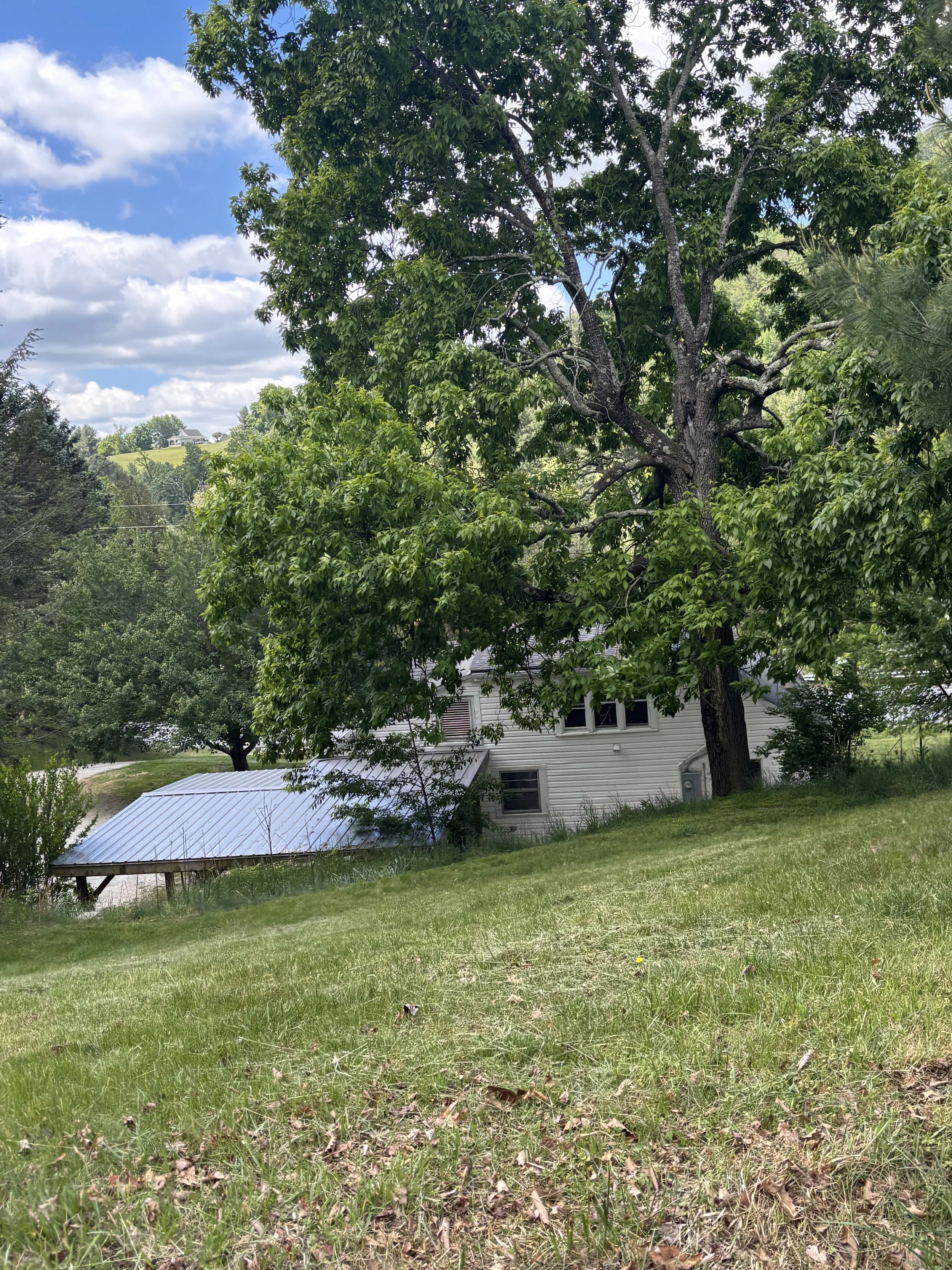 IMG_0770.jpeg