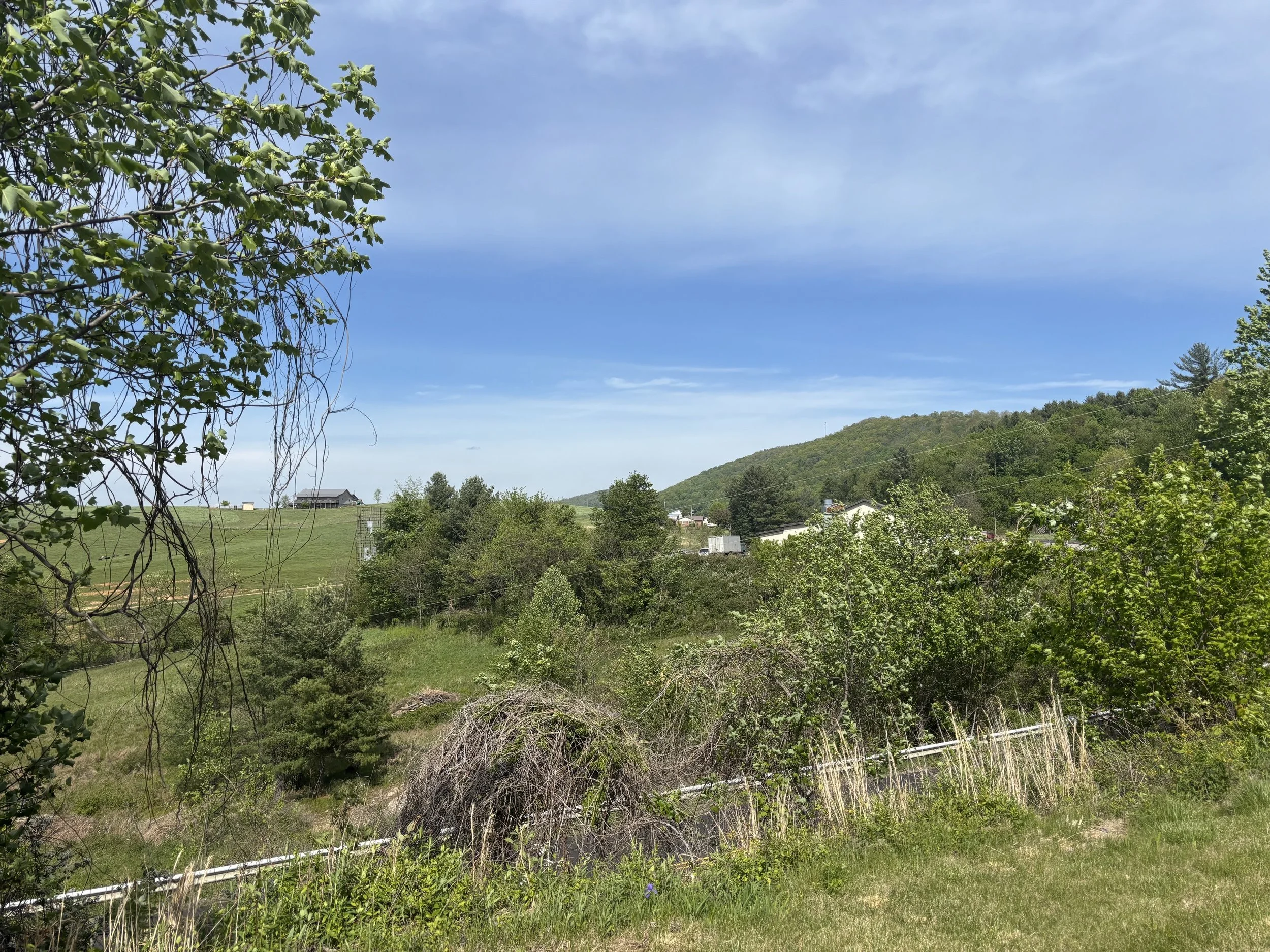 IMG_0681 (002).jpeg