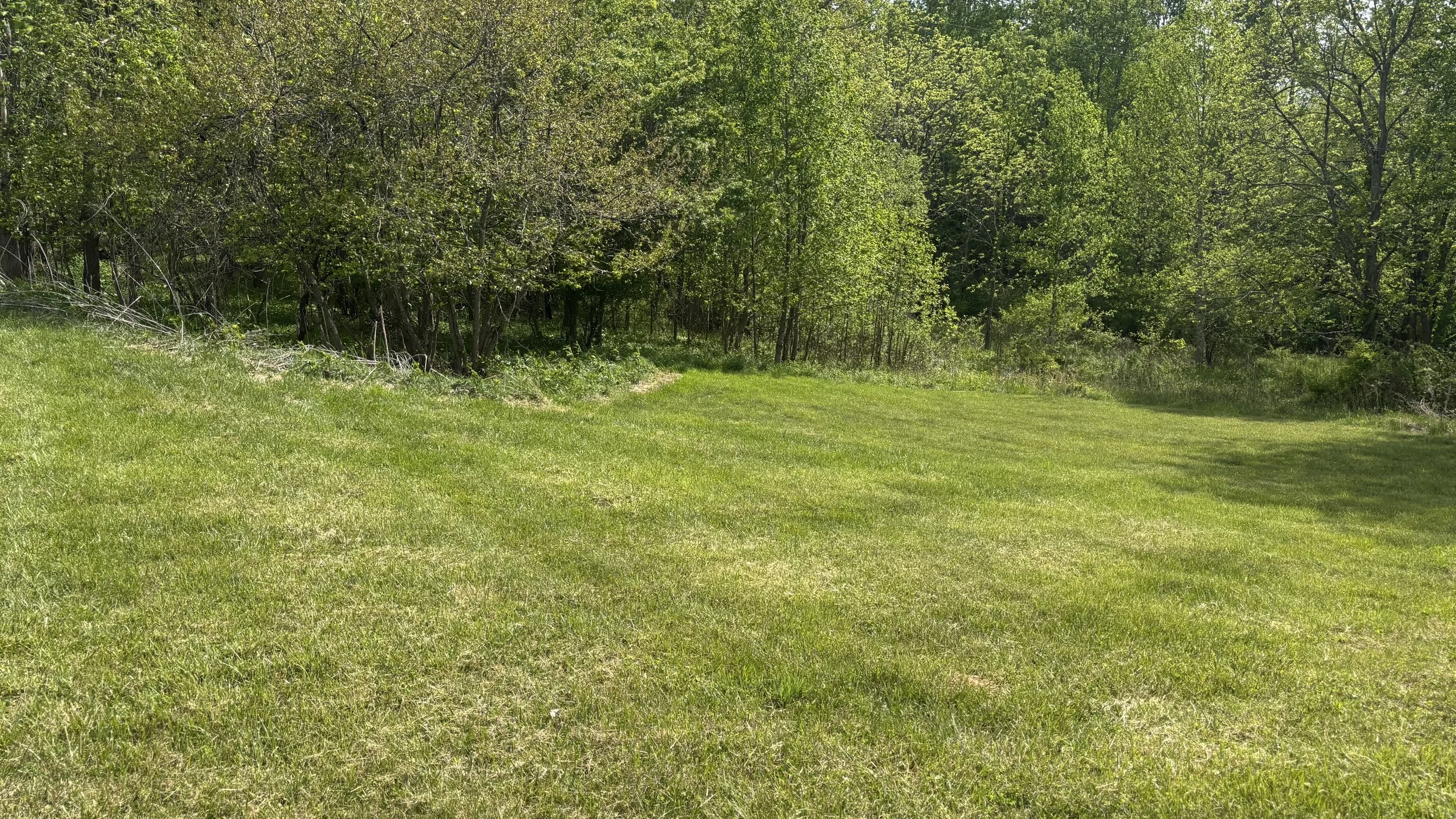 IMG_0685 (002).jpeg