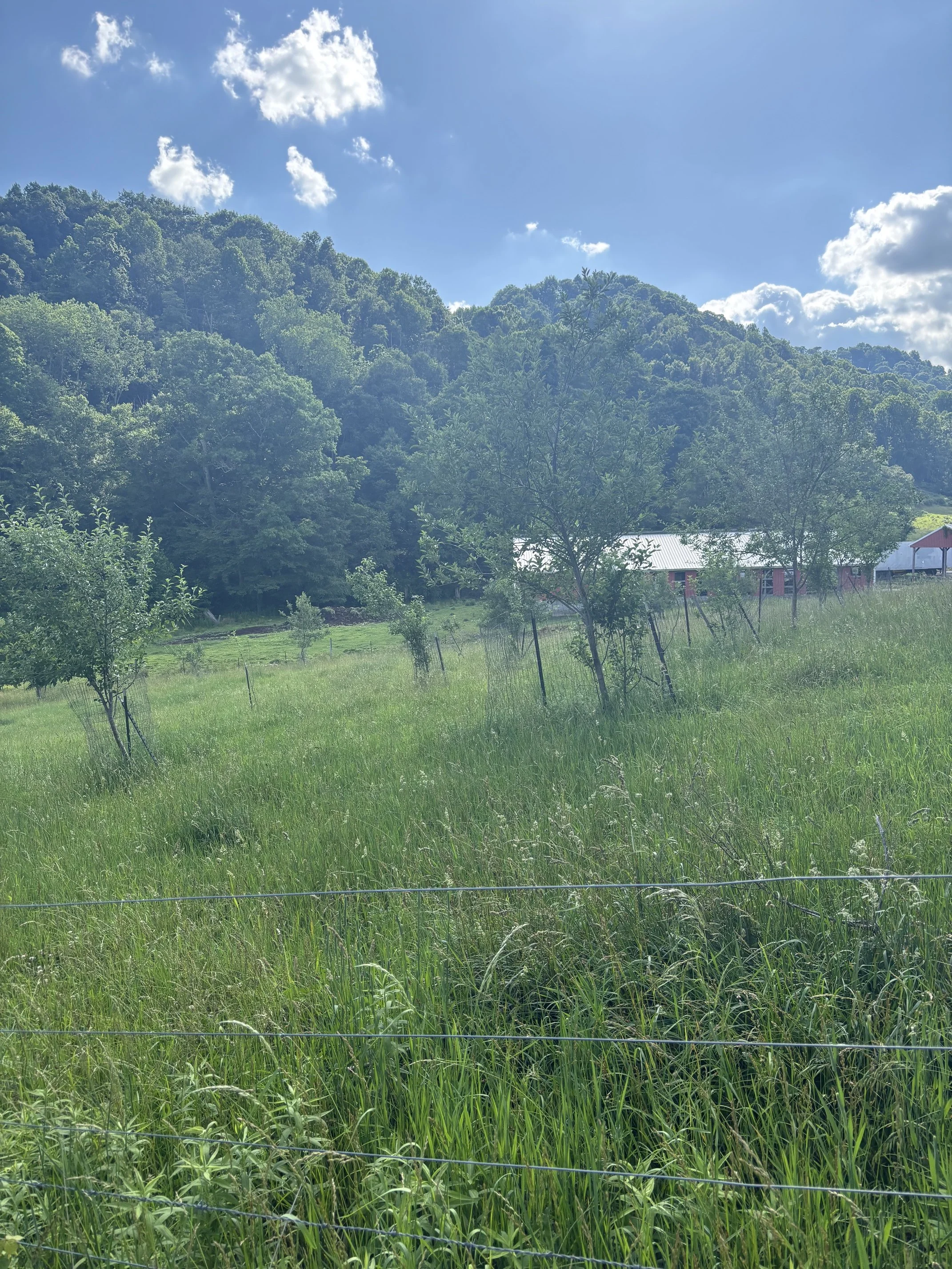 IMG_0838 (002).jpeg
