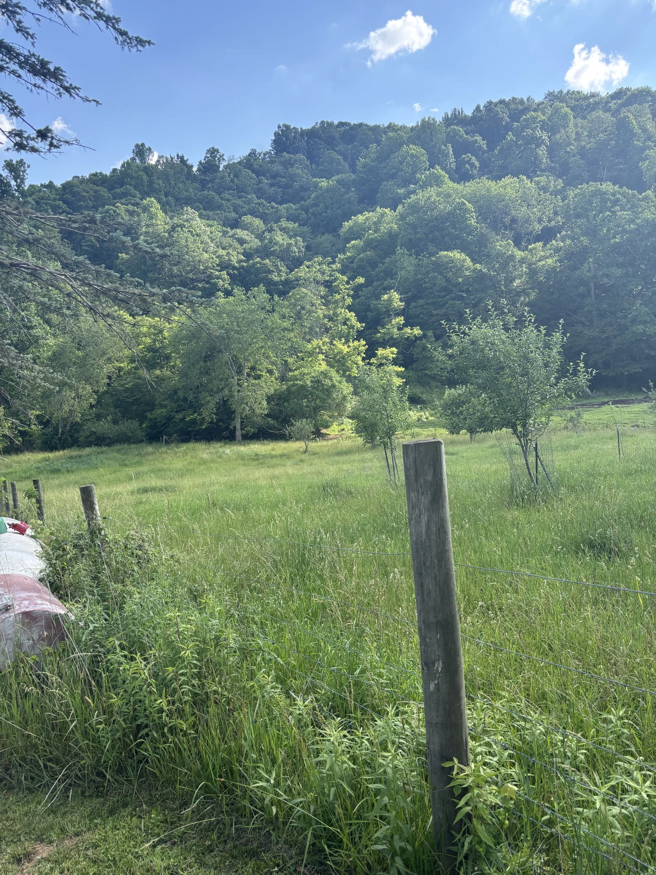 IMG_0839 (002).jpeg