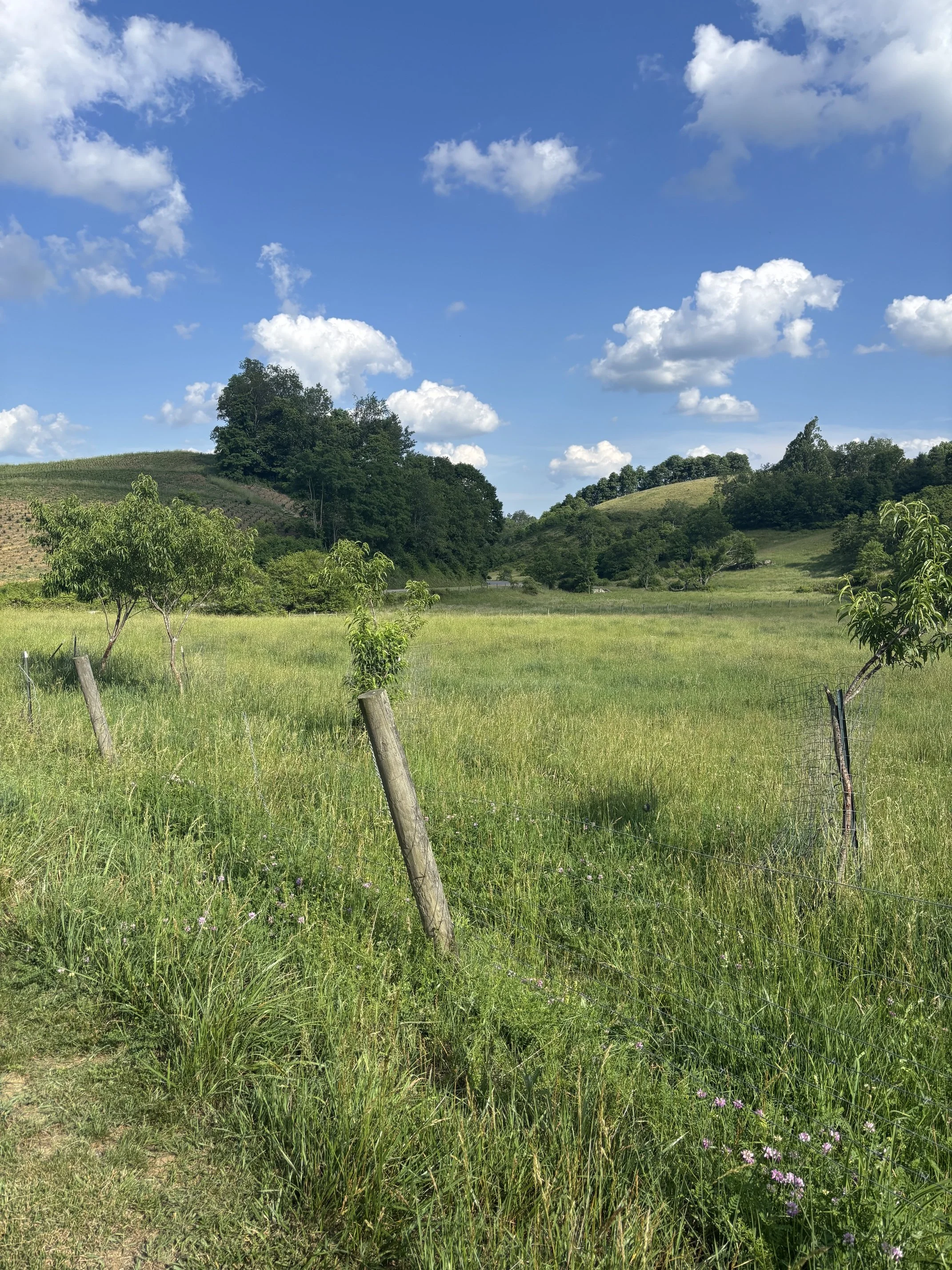 IMG_0842 (002).jpeg