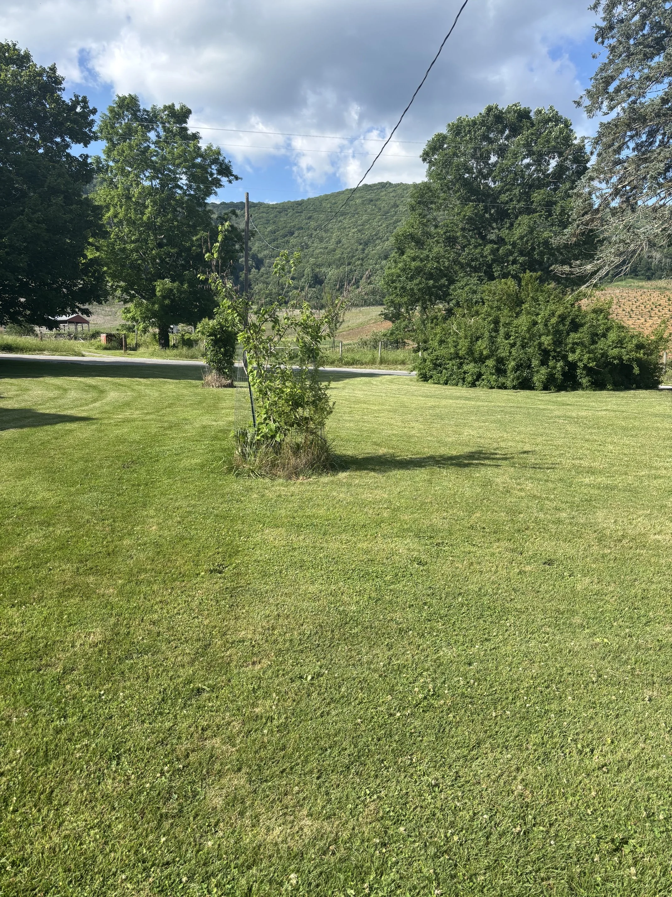 IMG_0845 (002).jpeg