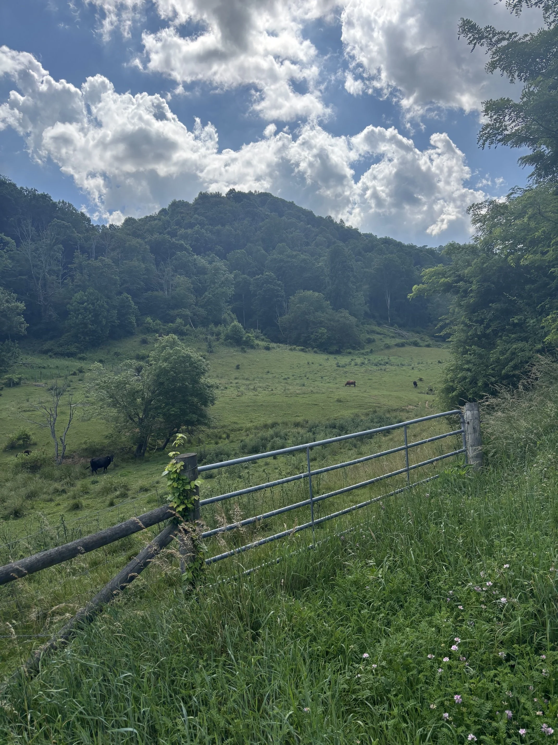 IMG_0801 (002).jpeg