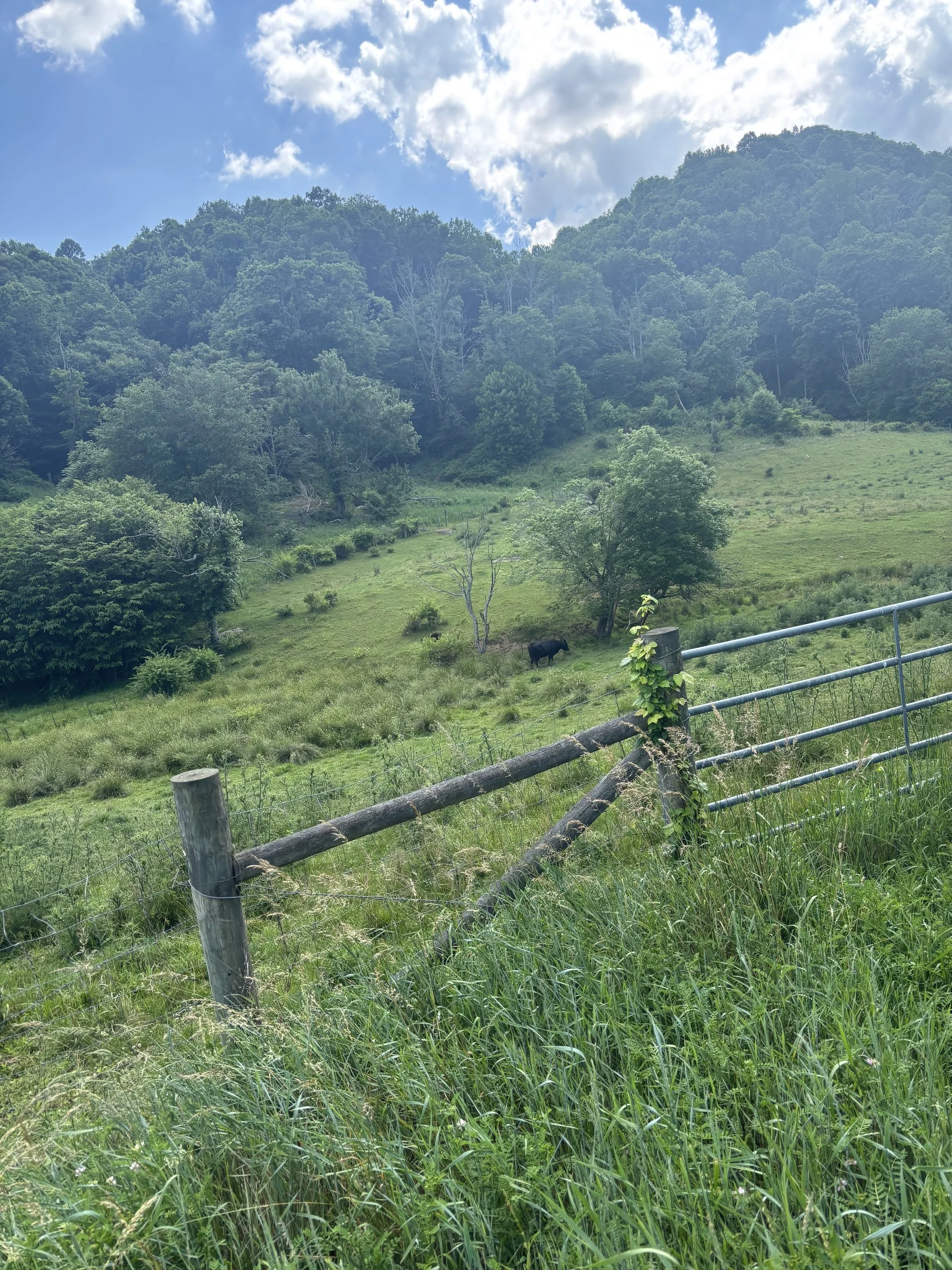 IMG_0802 (002).jpeg