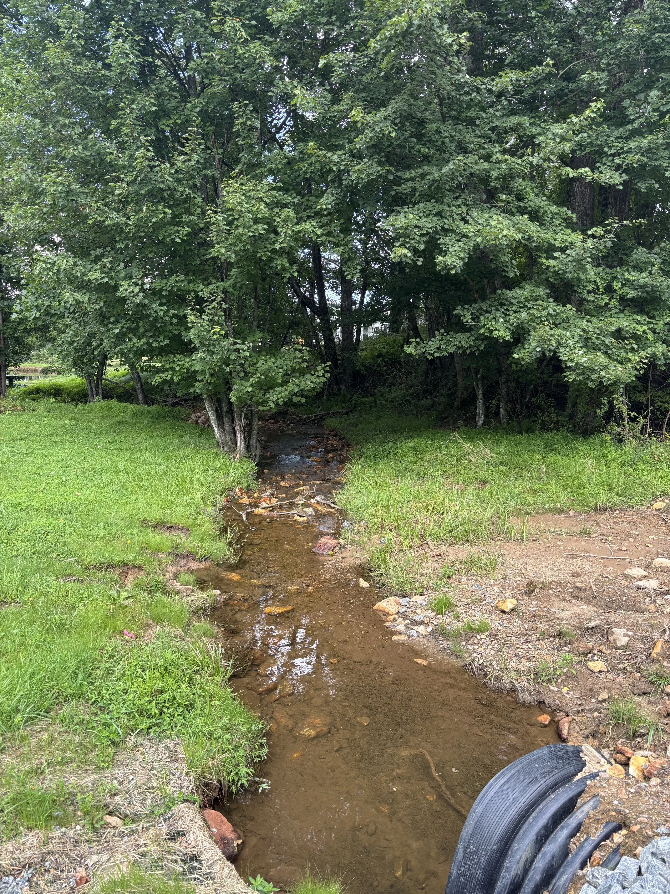 IMG_0866 (002).jpeg