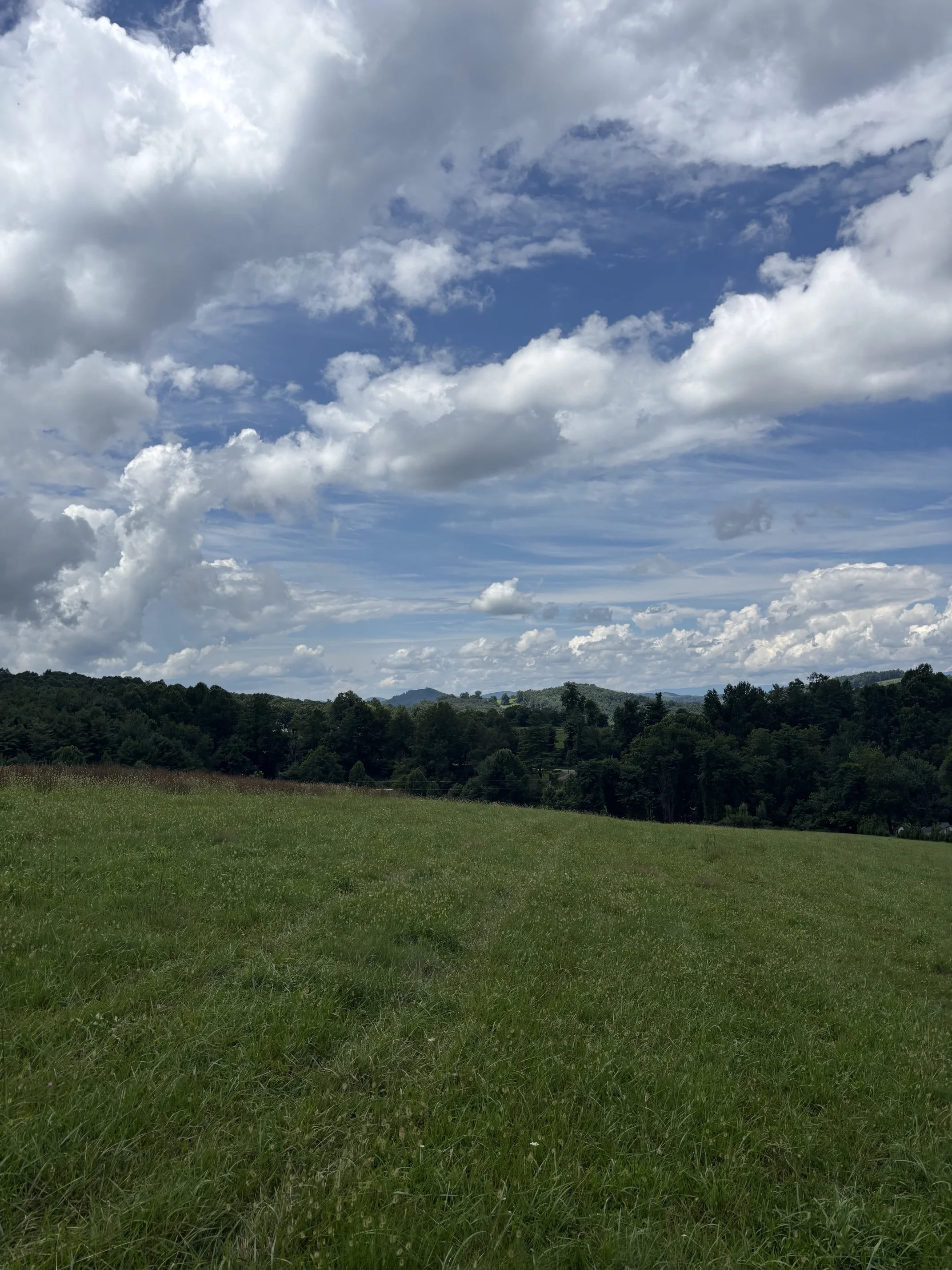 IMG_0867 (002).jpeg