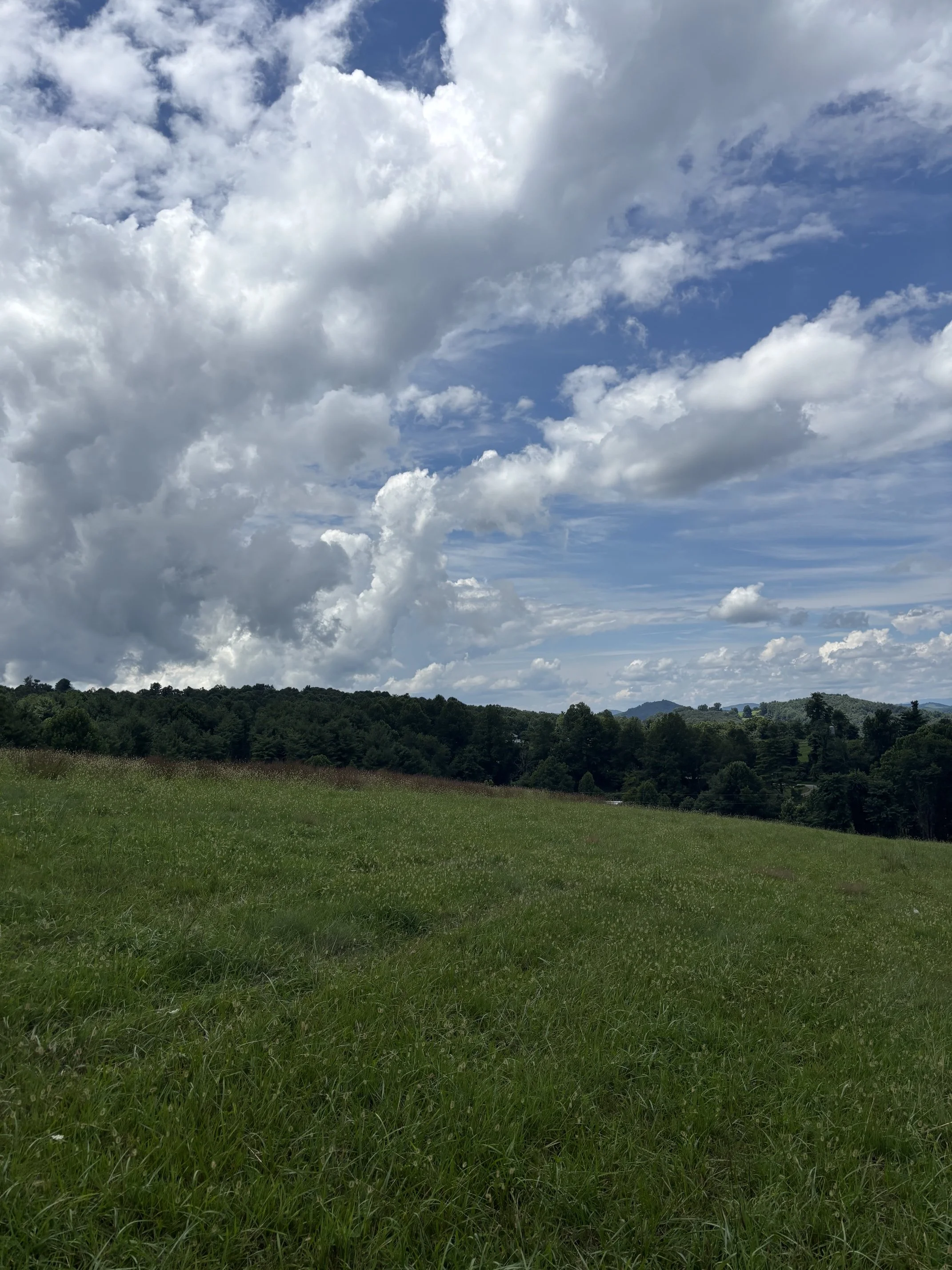 IMG_0868 (002).jpeg