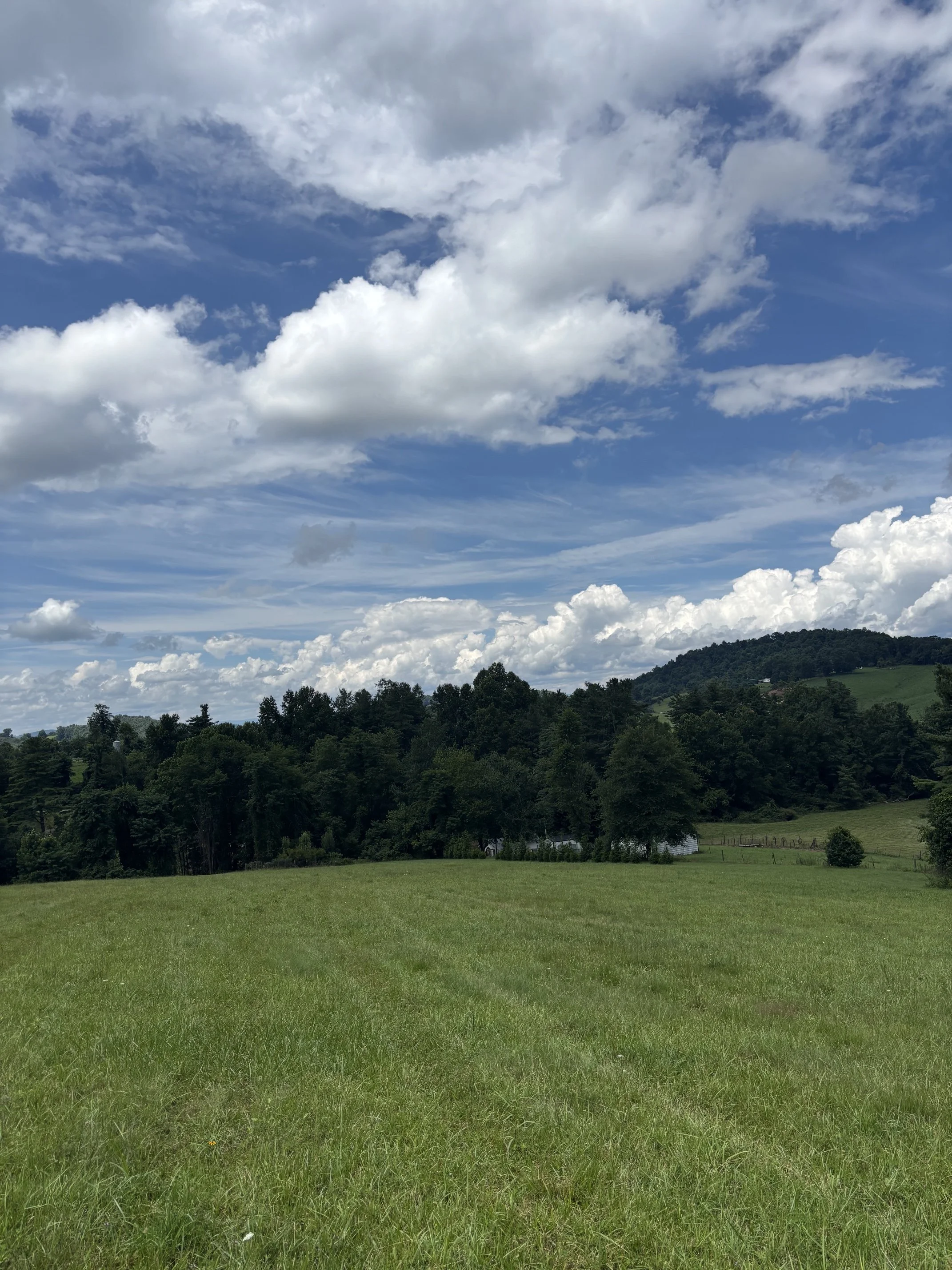 IMG_0870 (002).jpeg
