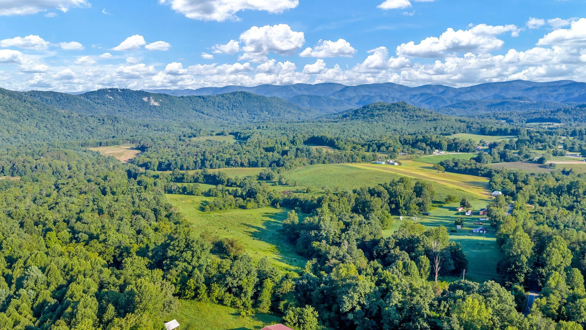 8-web-or-mls-Trap Hill property #I-31.JPG