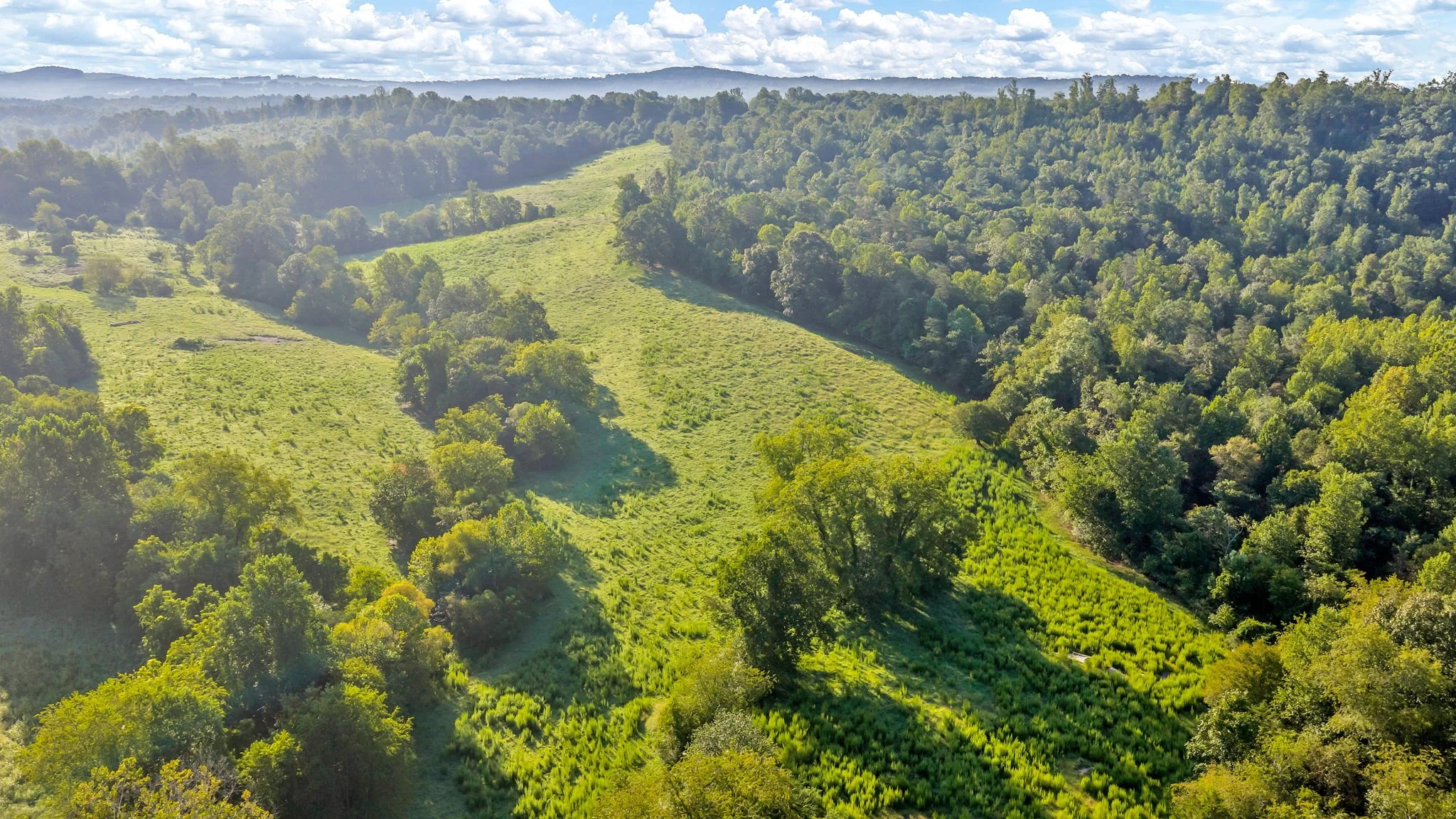22-web-or-mls-Trap Hill property #I-20.JPG