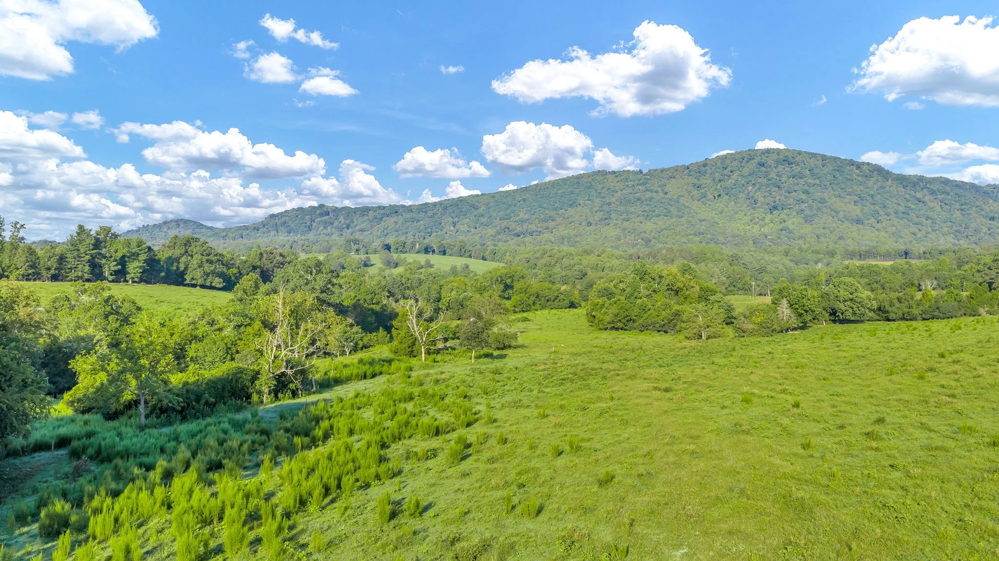 33-web-or-mls-Trap Hill property #I-12.JPG