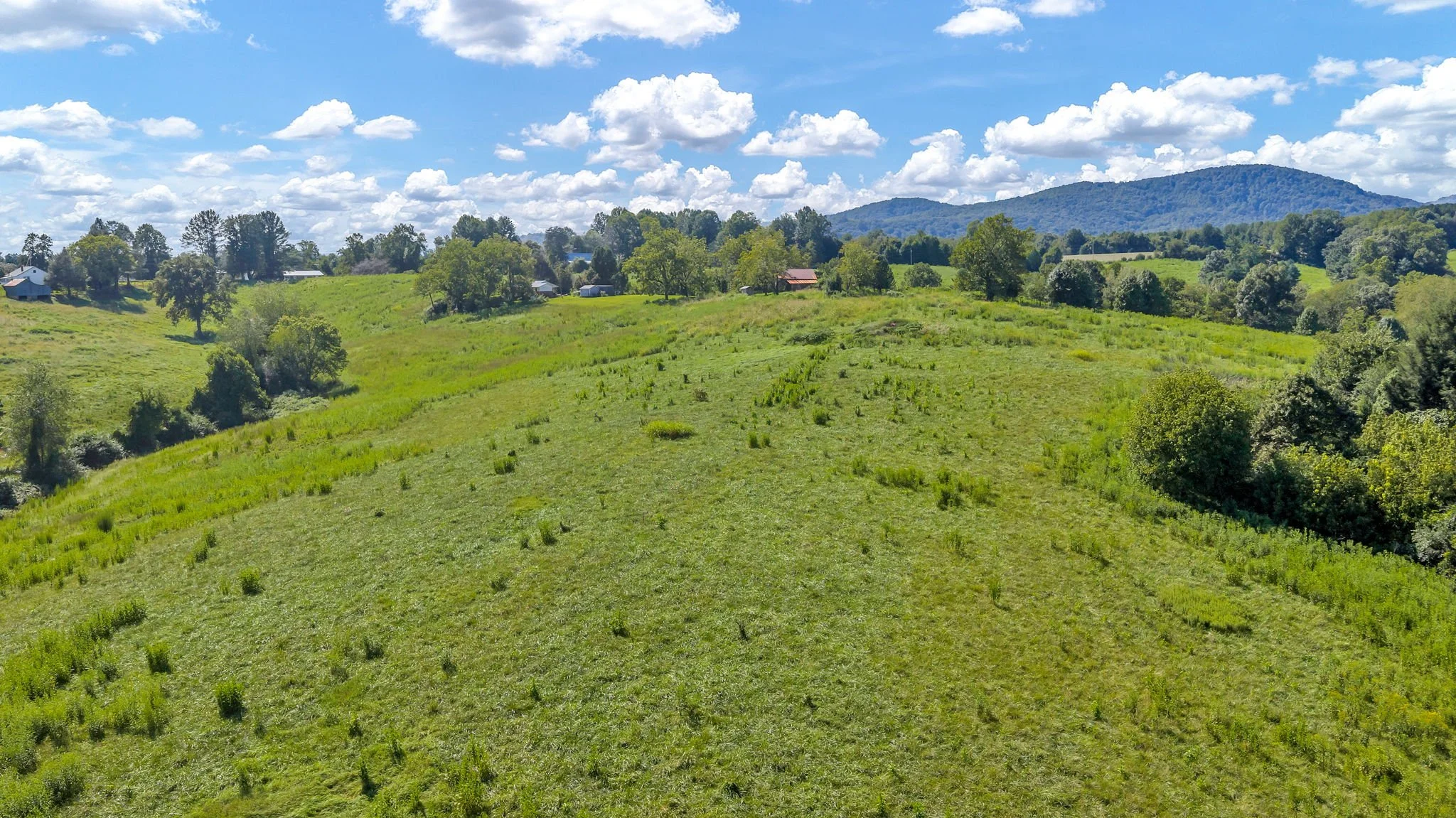 6-web-or-mls-Trap Hill property #2-49.JPG