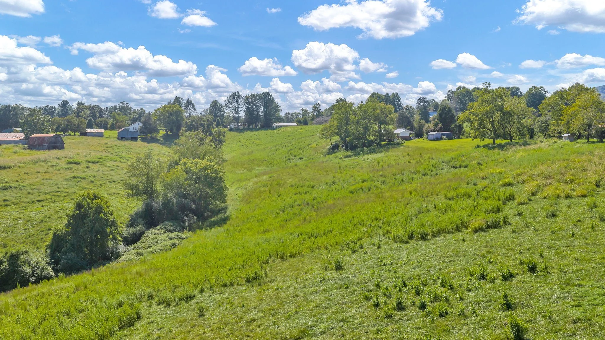 7-web-or-mls-Trap Hill property #2-48.JPG