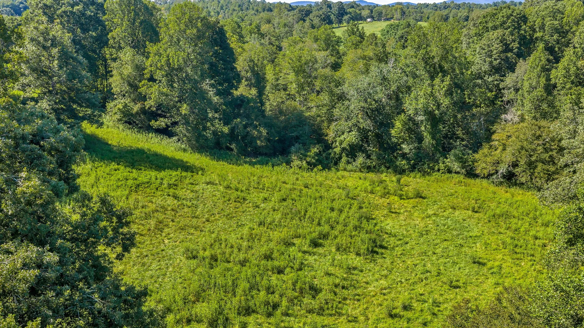 8-web-or-mls-Trap Hill property #2-50.JPG