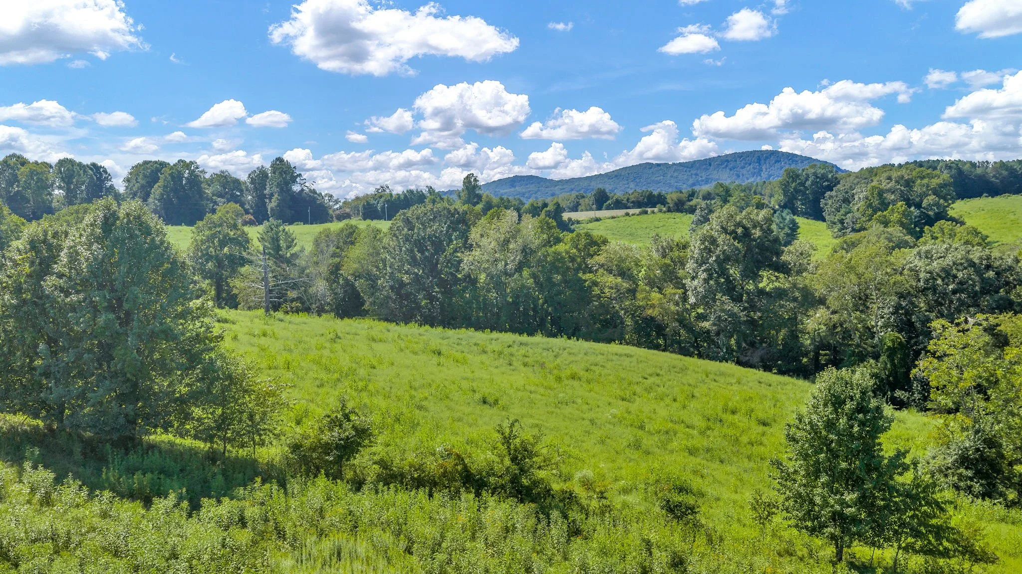 10-web-or-mls-Trap Hill property #2-45.JPG