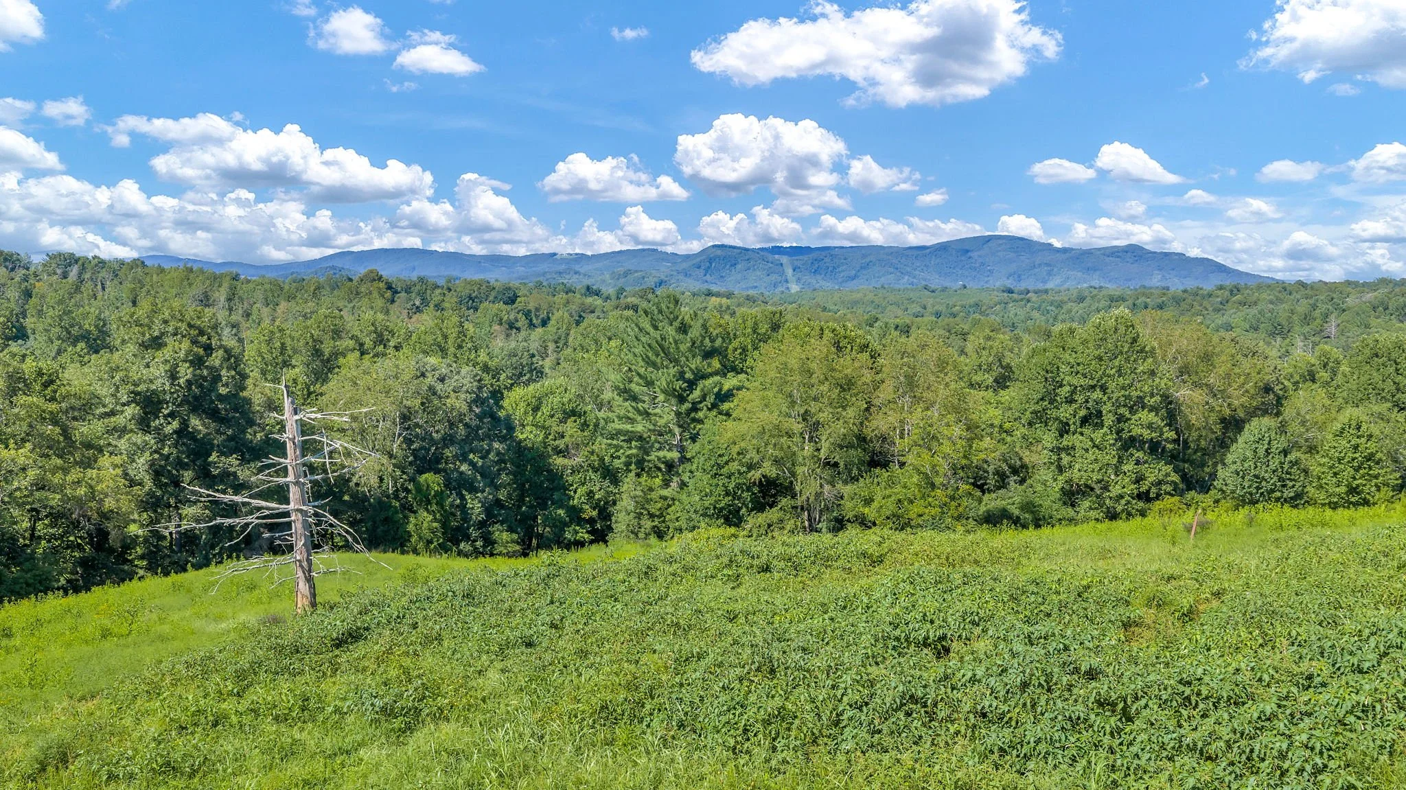 13-web-or-mls-Trap Hill property #2-44.JPG