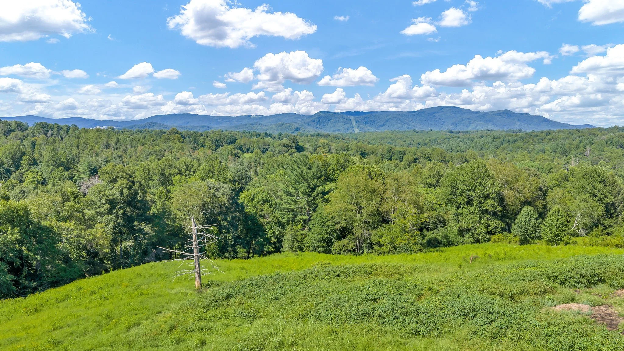 15-web-or-mls-Trap Hill property #2-43.JPG