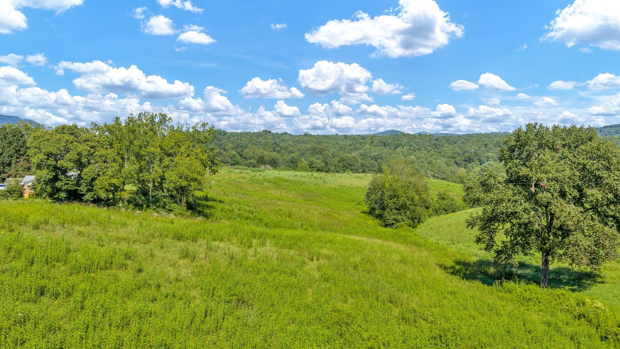 16-web-or-mls-Trap Hill property #2-41.JPG