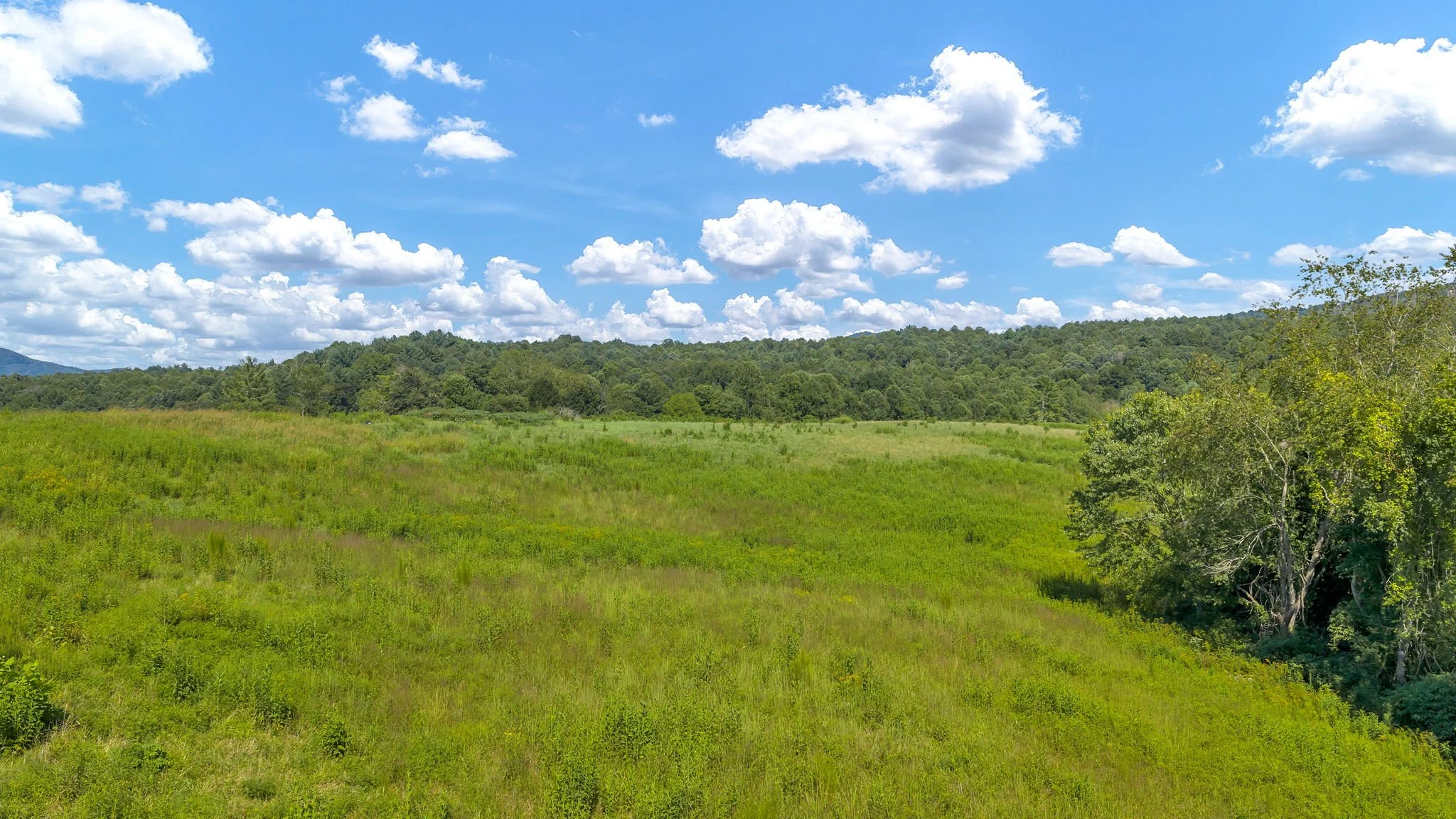 20-web-or-mls-Trap Hill property #2-36.JPG