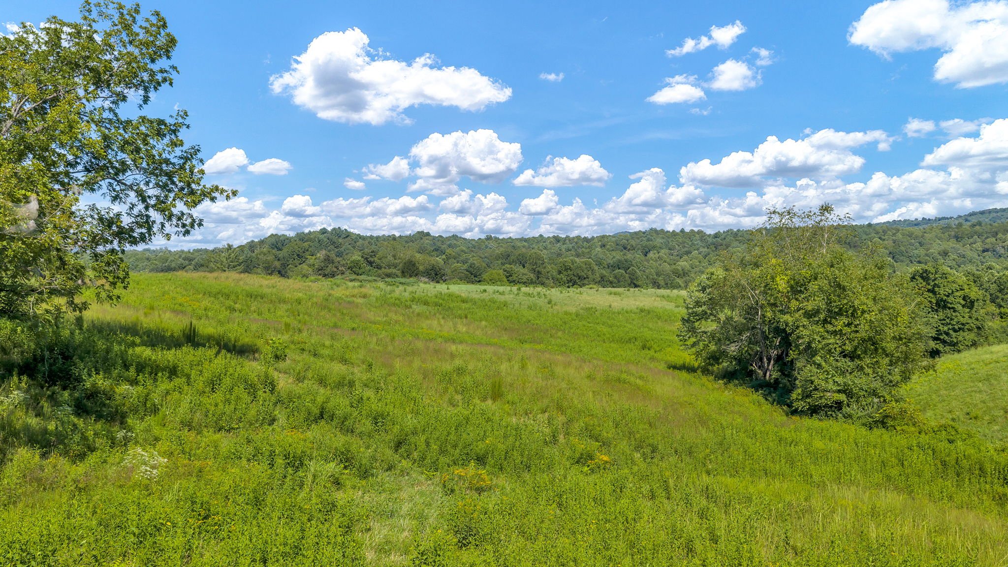 21-web-or-mls-Trap Hill property #2-37.JPG