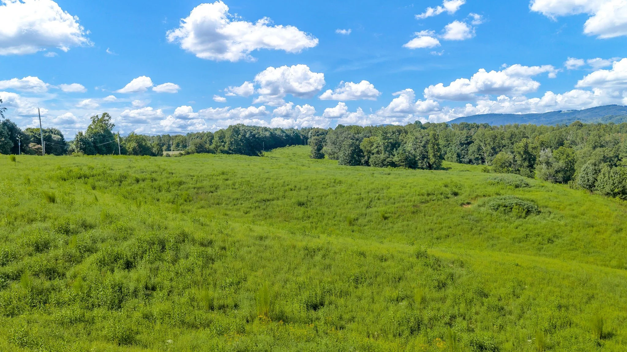 23-web-or-mls-Trap Hill property #2-33.JPG