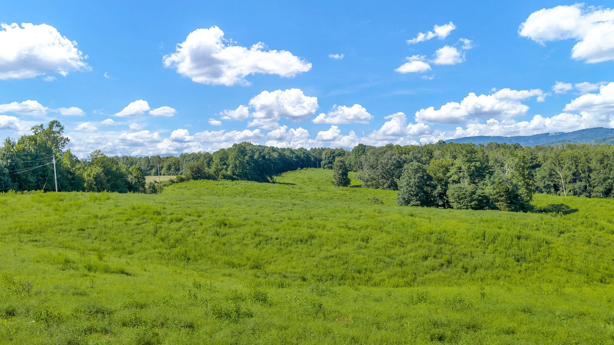 24-web-or-mls-Trap Hill property #2-31.JPG