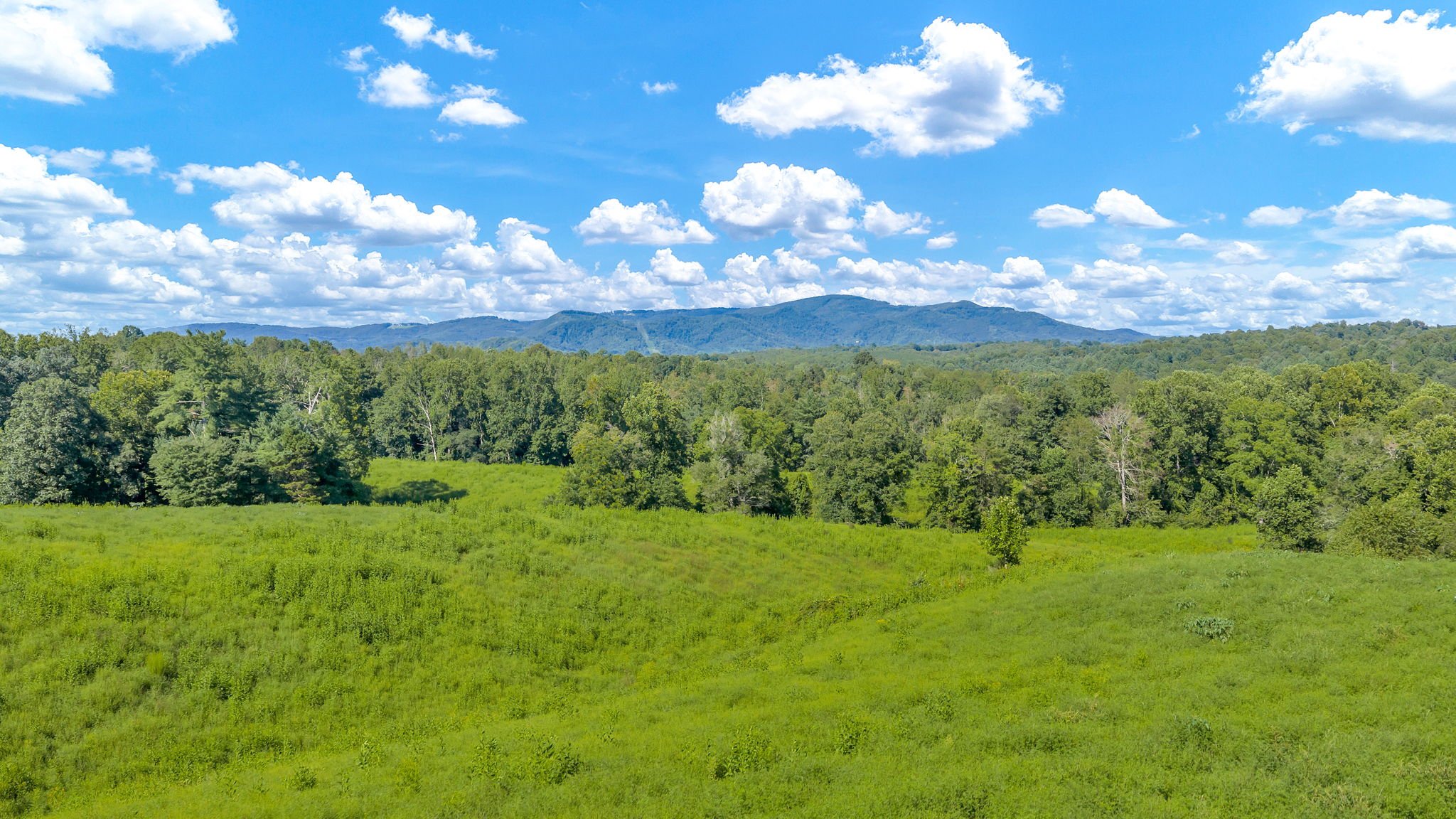 27-web-or-mls-Trap Hill property #2-30.JPG