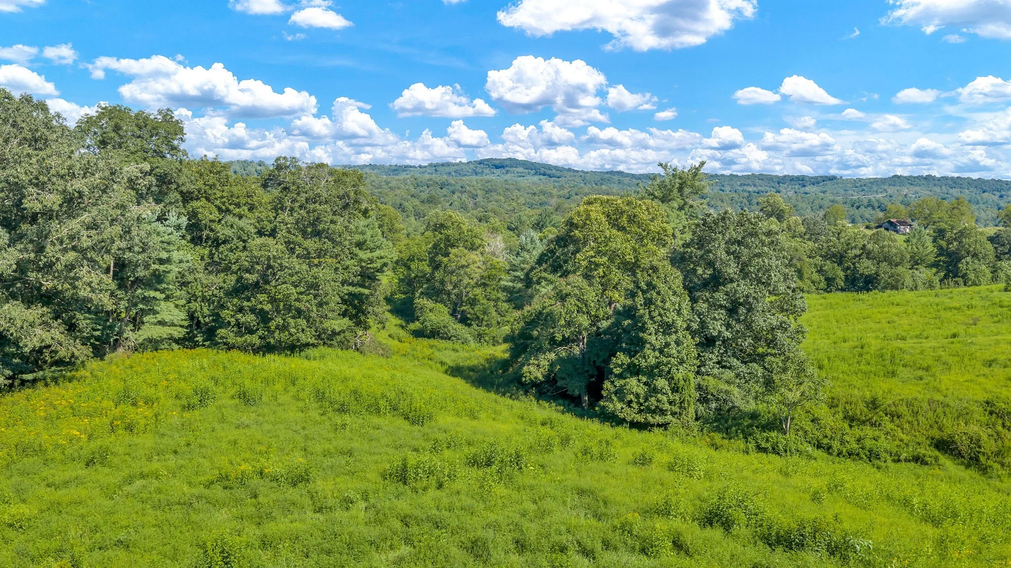 28-web-or-mls-Trap Hill property #2-27.JPG