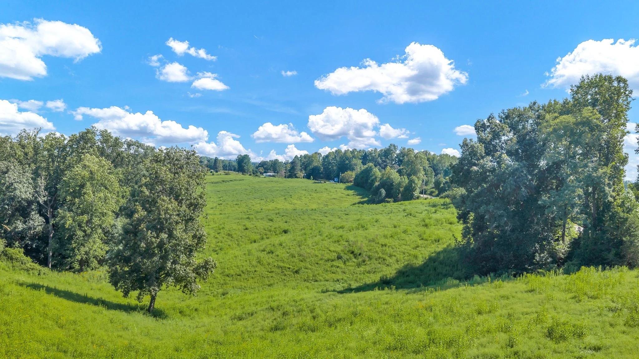 29-web-or-mls-Trap Hill property #2-24.JPG