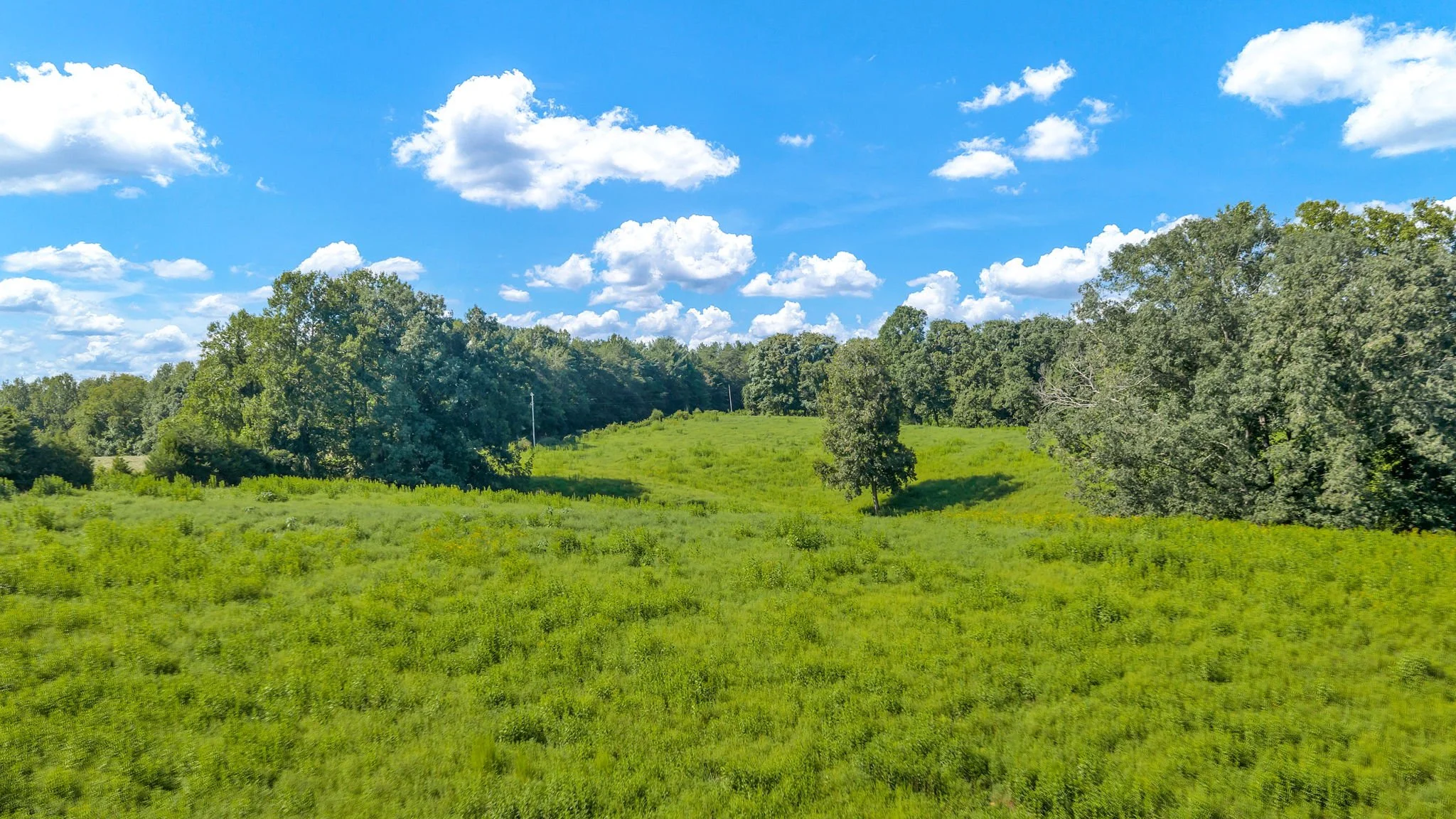 31-web-or-mls-Trap Hill property #2-28.JPG