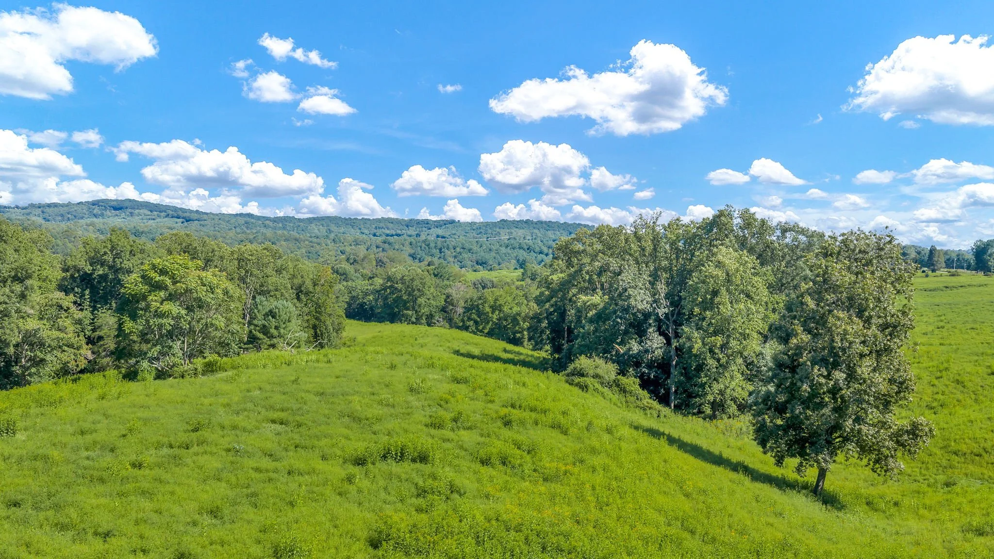 32-web-or-mls-Trap Hill property #2-23.JPG