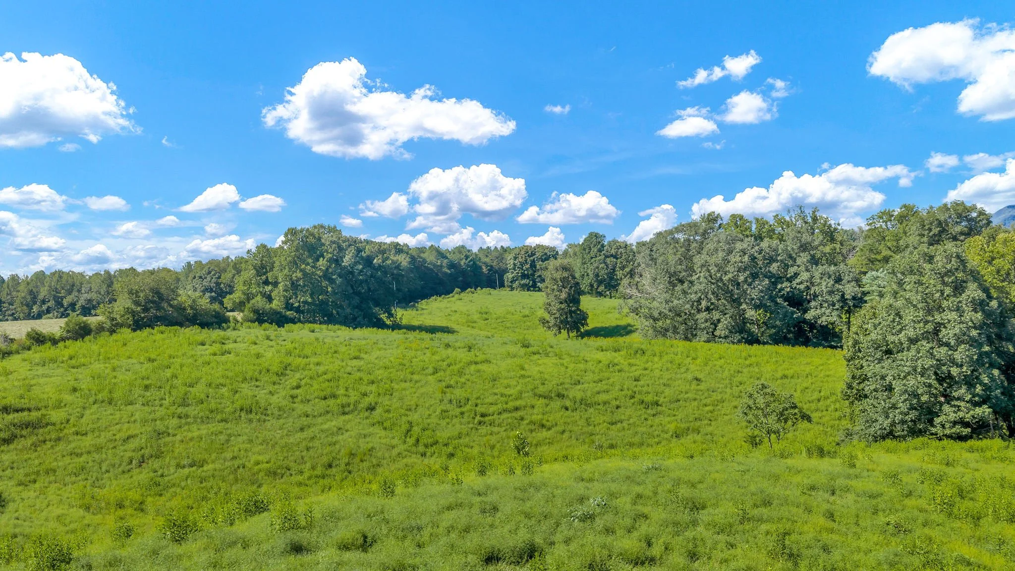 33-web-or-mls-Trap Hill property #2-29.JPG