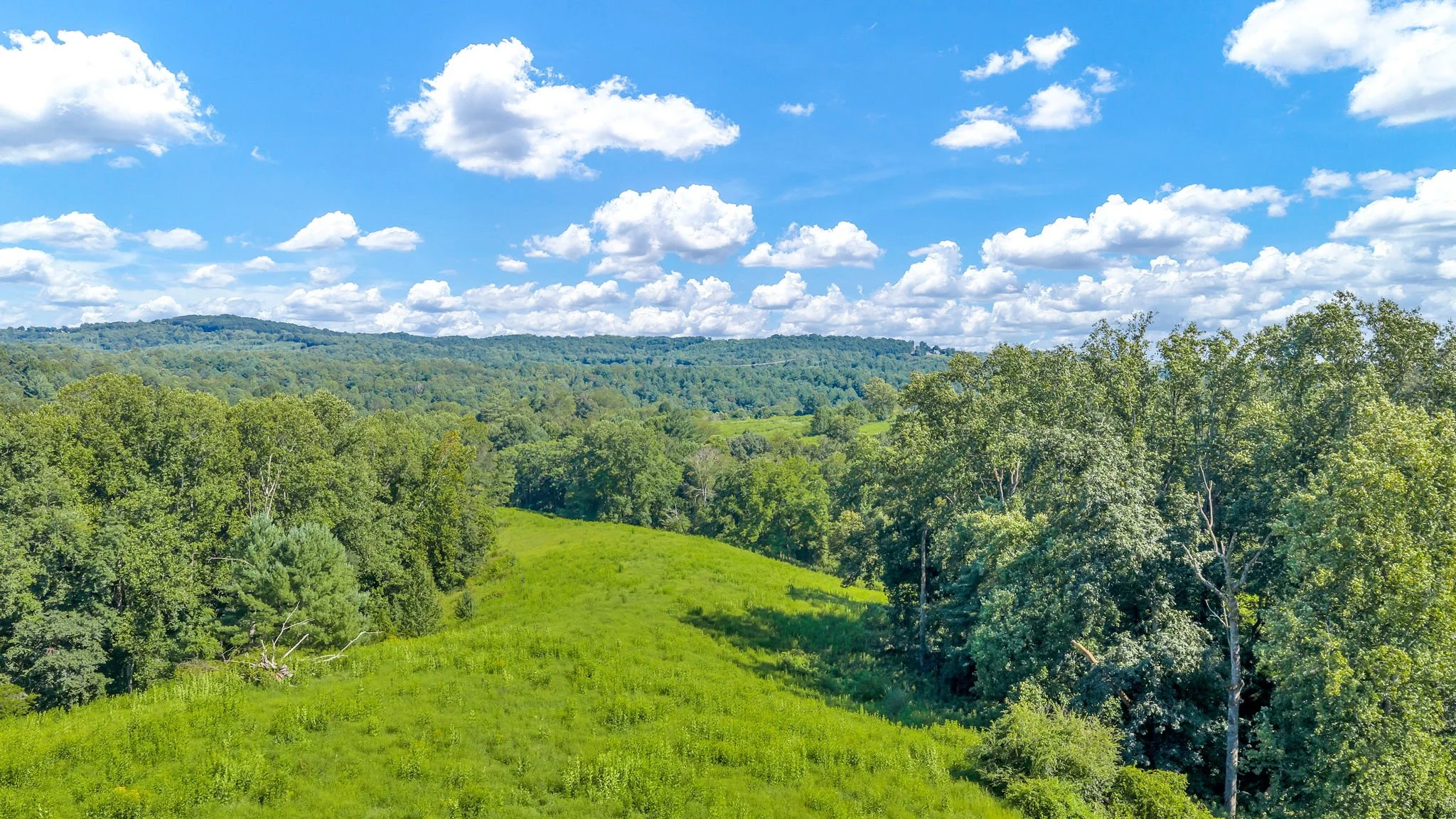 35-web-or-mls-Trap Hill property #2-22.JPG
