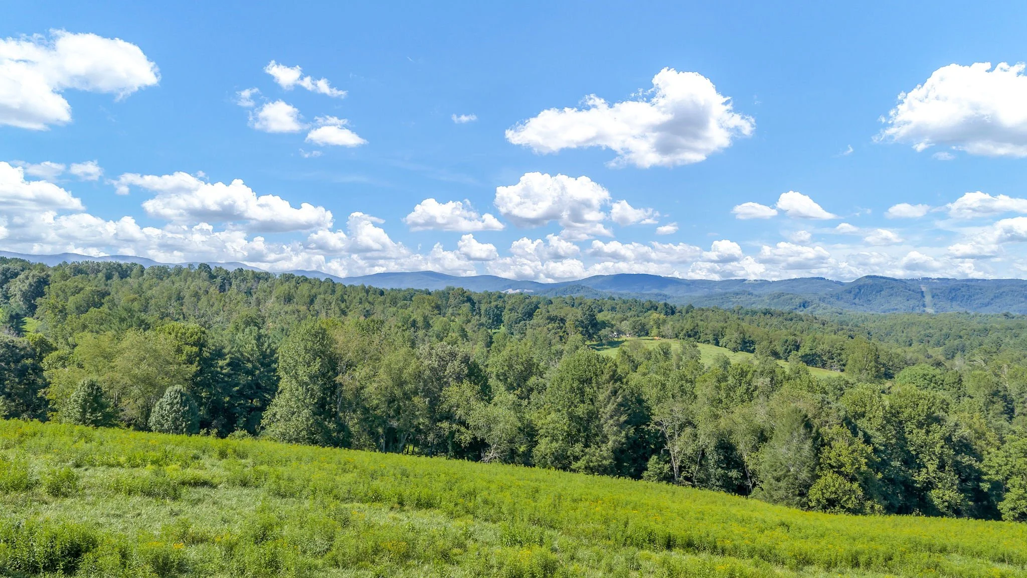 41-web-or-mls-Trap Hill property #2-13.JPG