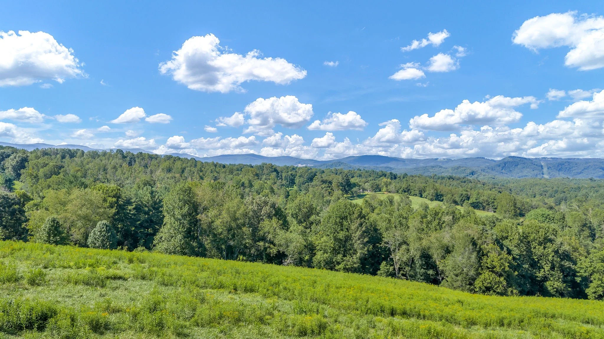 42-web-or-mls-Trap Hill property #2-14.JPG