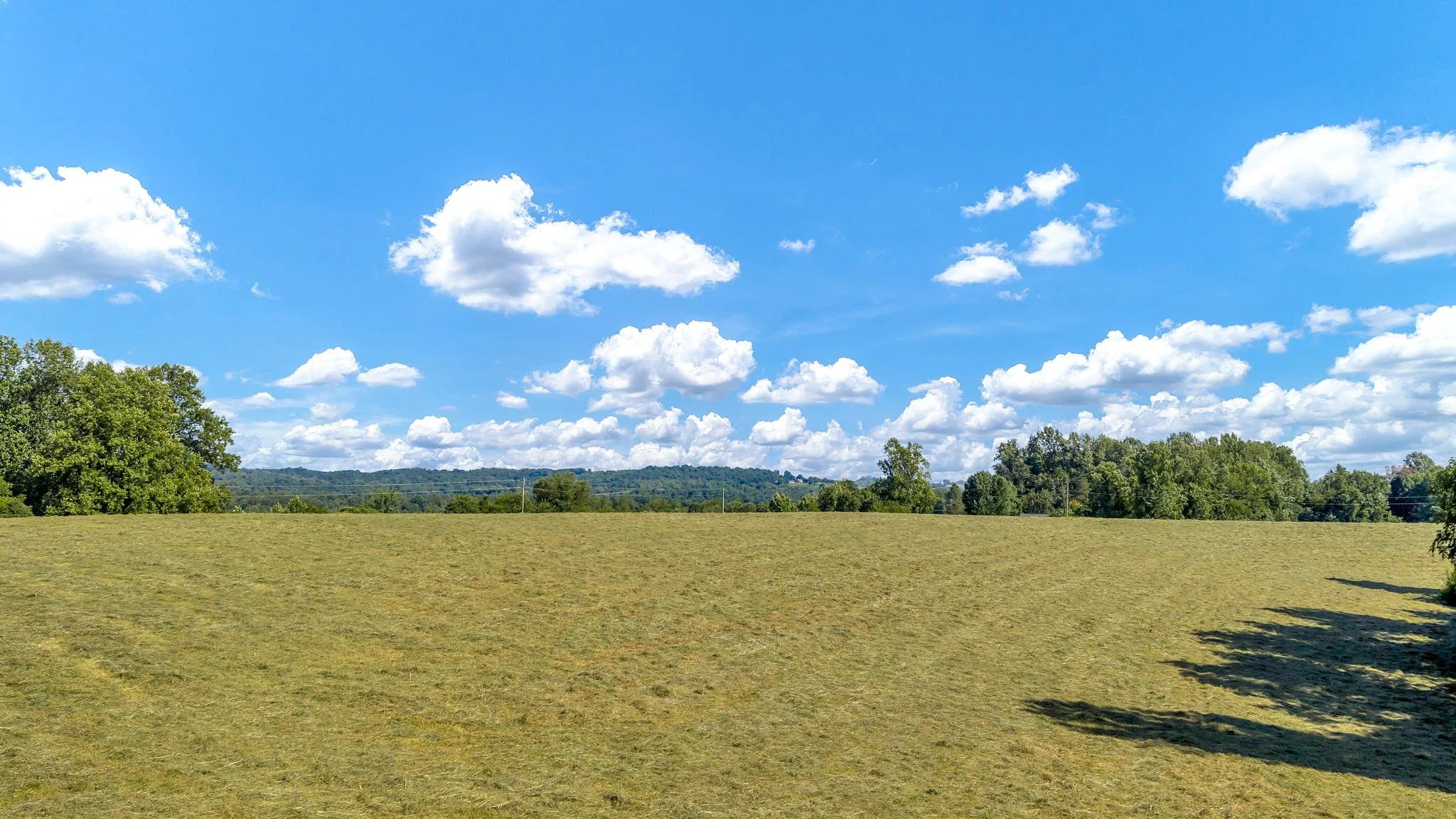 45-web-or-mls-Trap Hill property #2-09.JPG