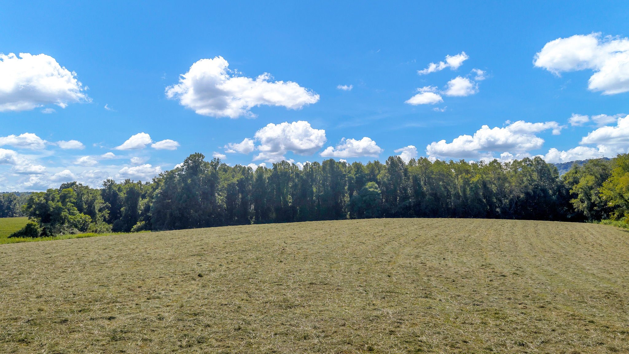 48-web-or-mls-Trap Hill property #2-12.JPG