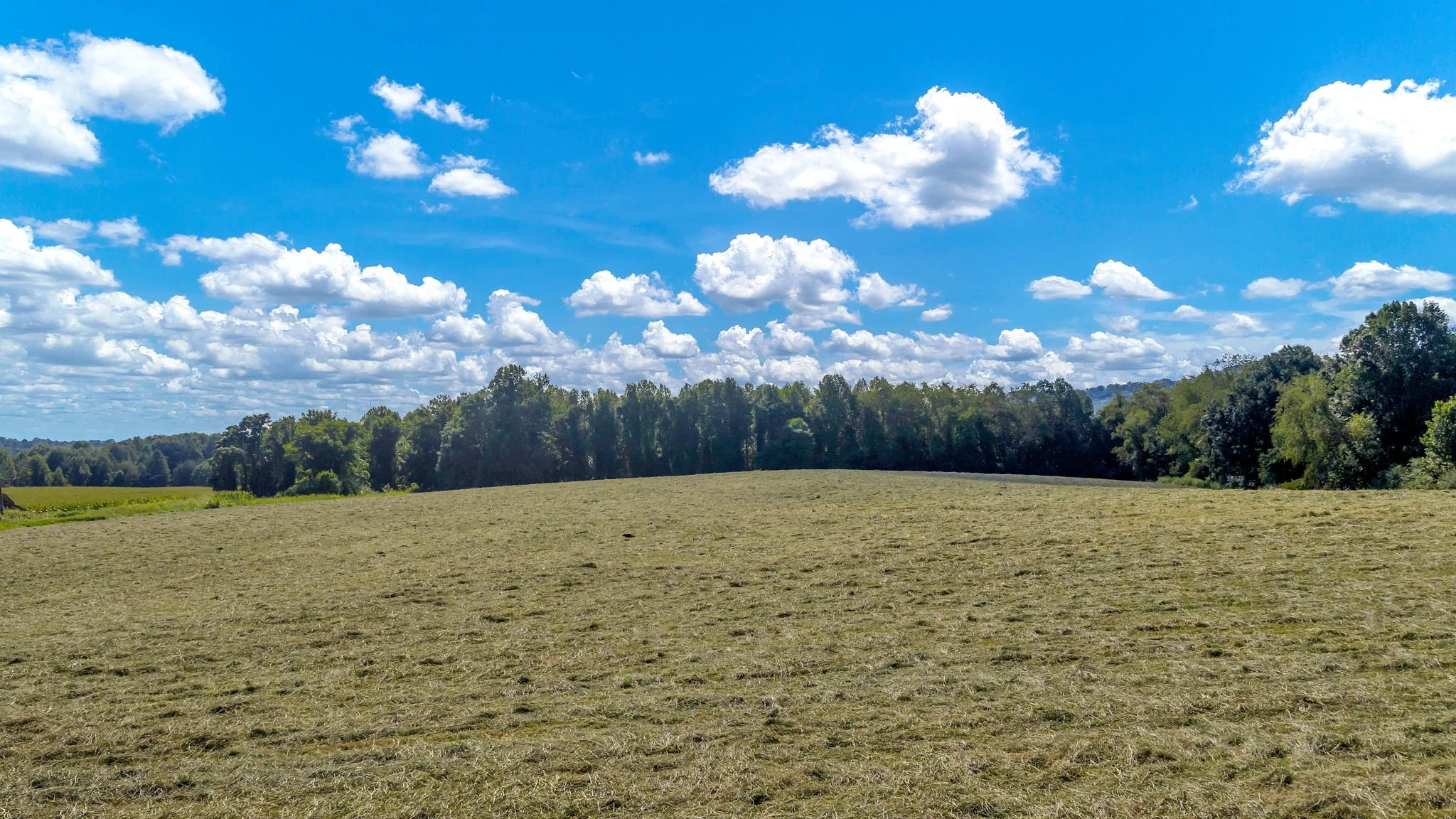 54-web-or-mls-Trap Hill property #2-03.JPG