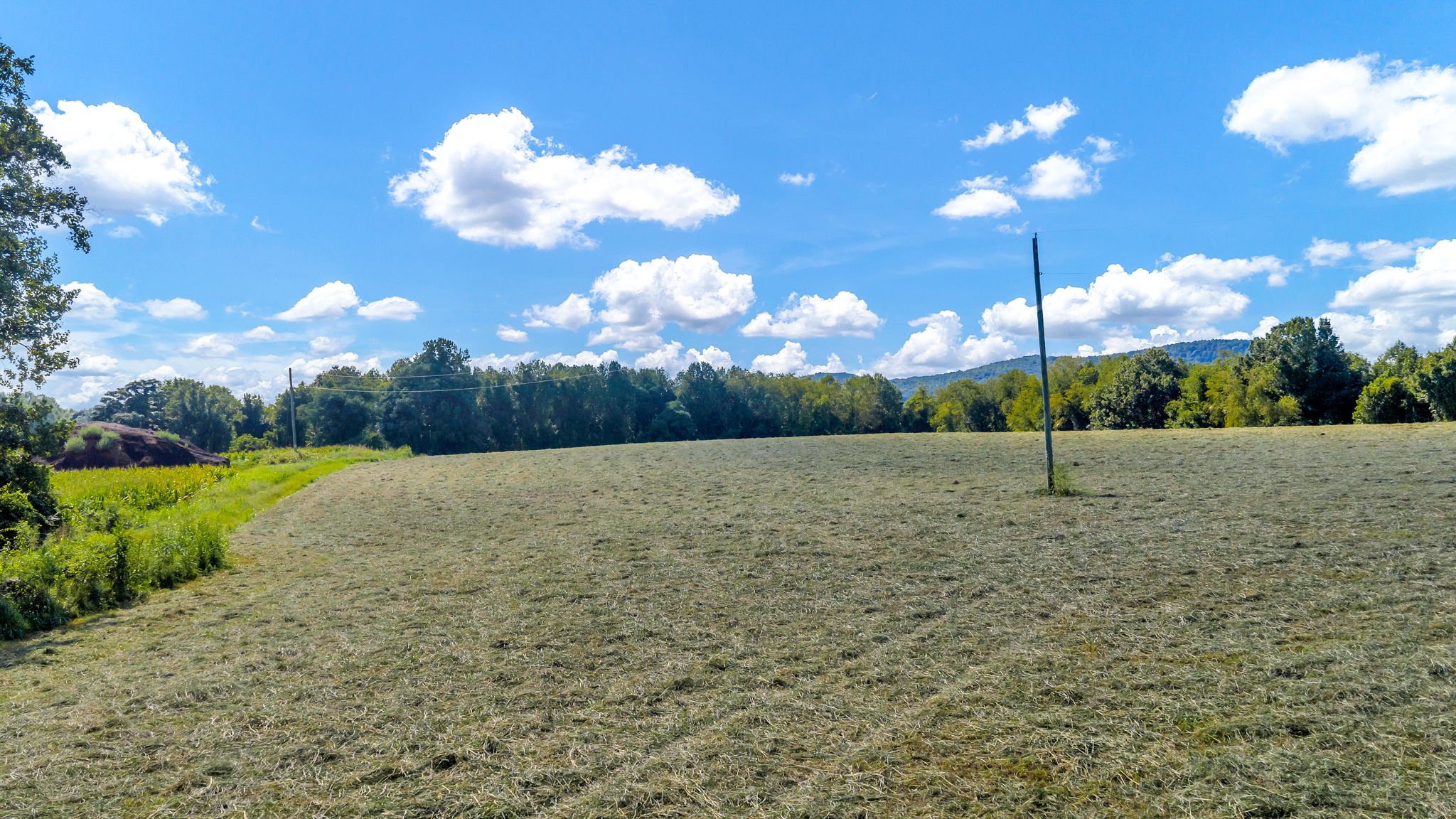 56-web-or-mls-Trap Hill property #2-02.JPG
