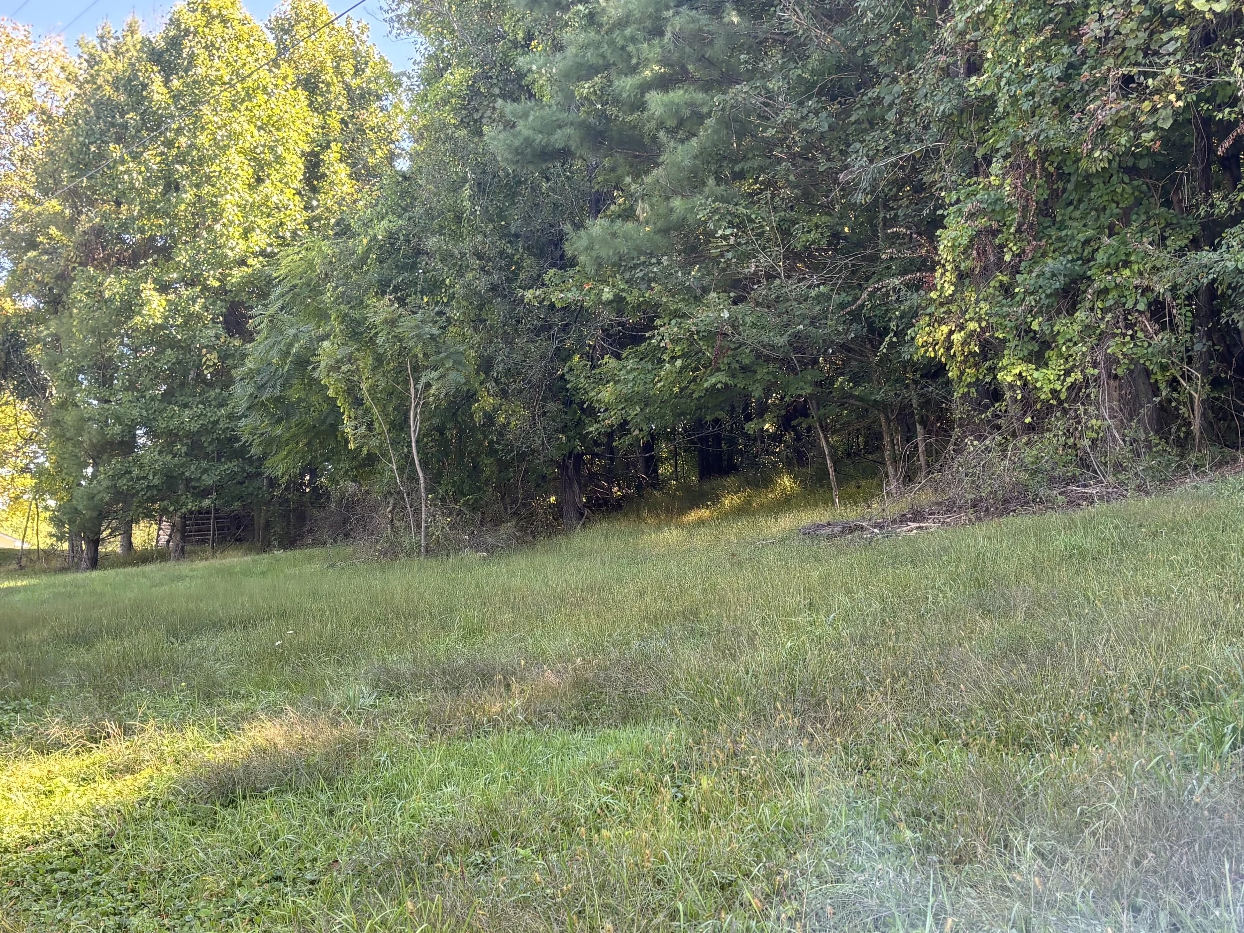 IMG_0940 (002).jpeg