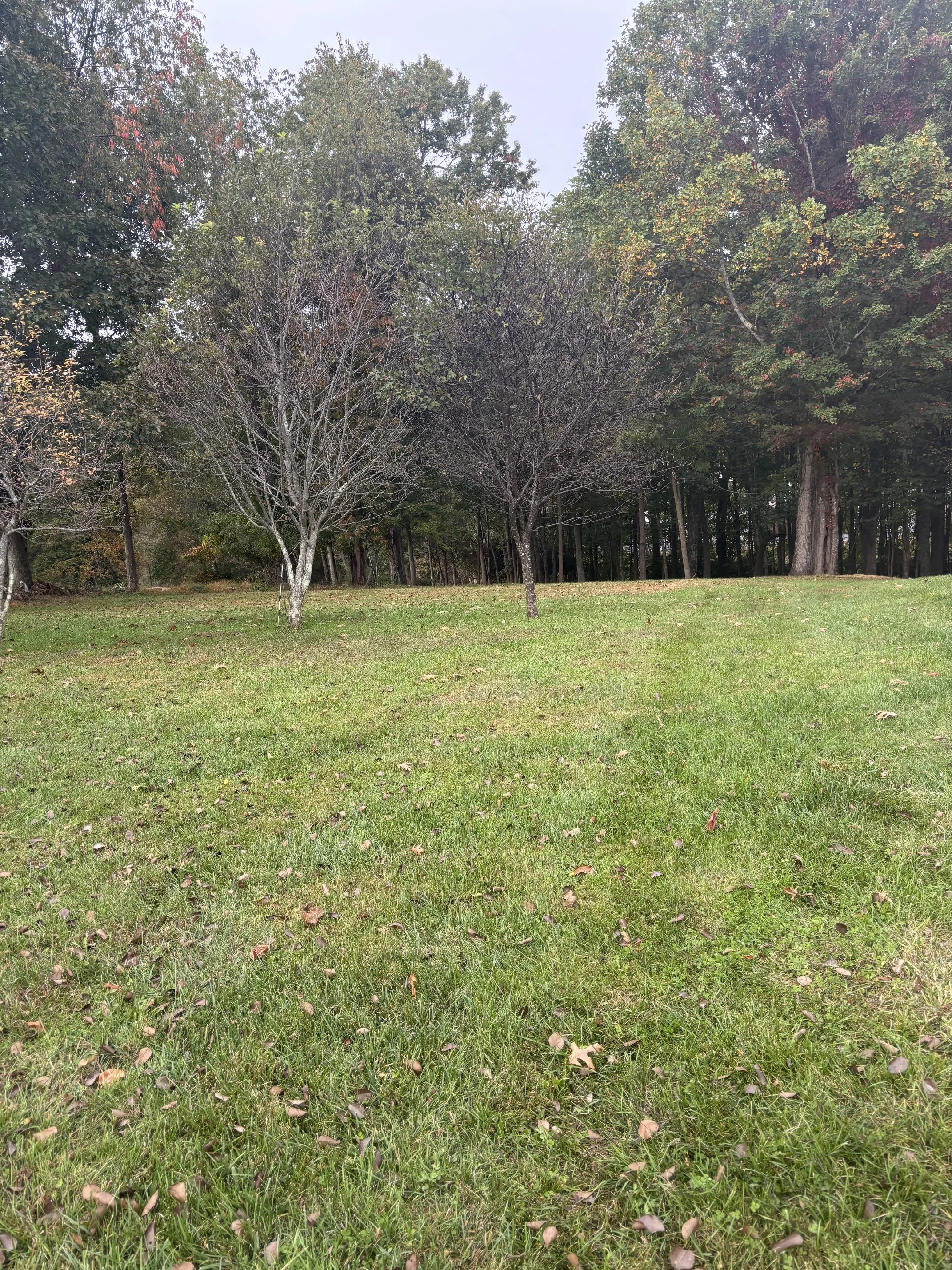 IMG_0951 (002).jpeg
