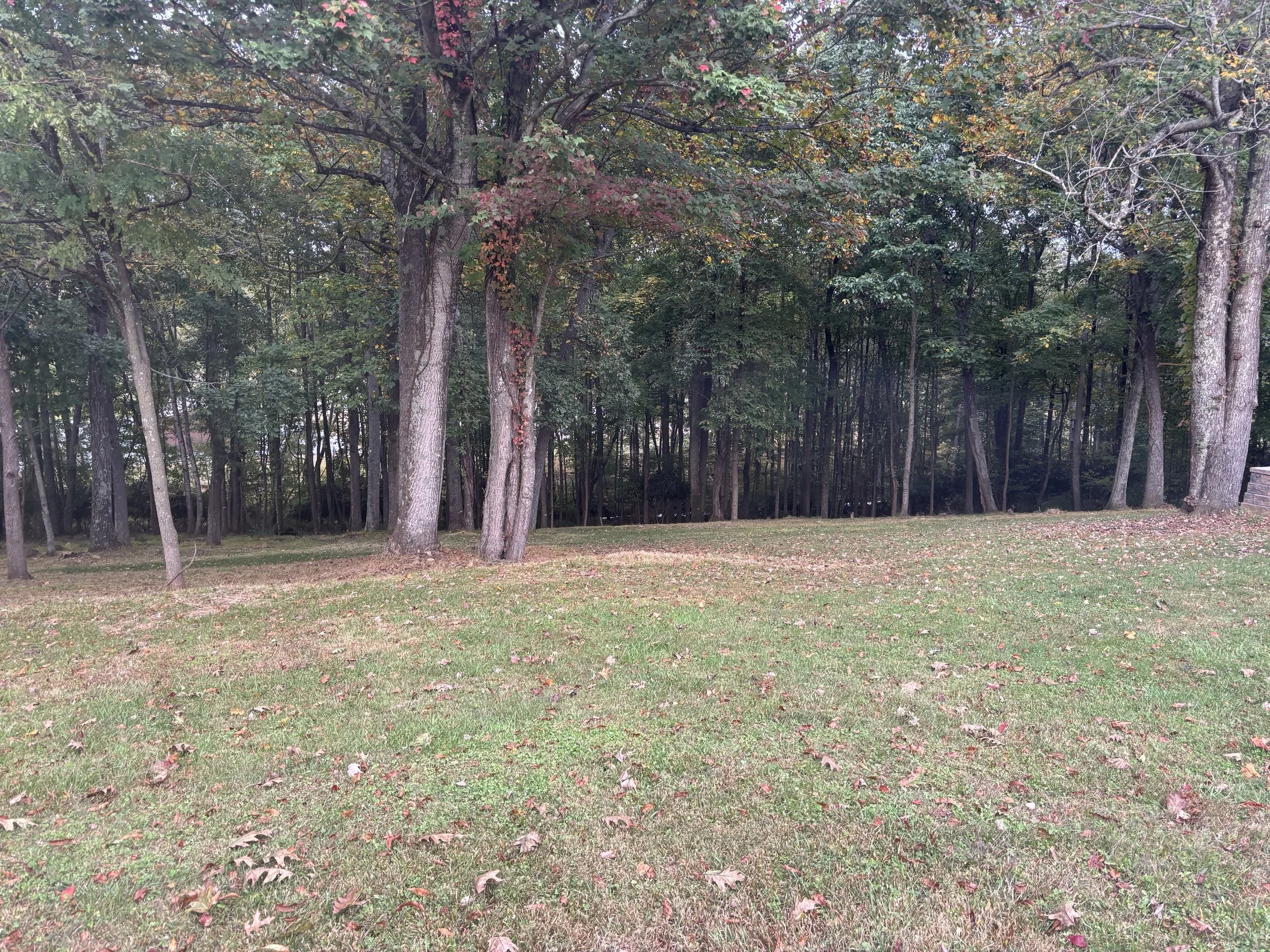 IMG_0956 (002).jpeg