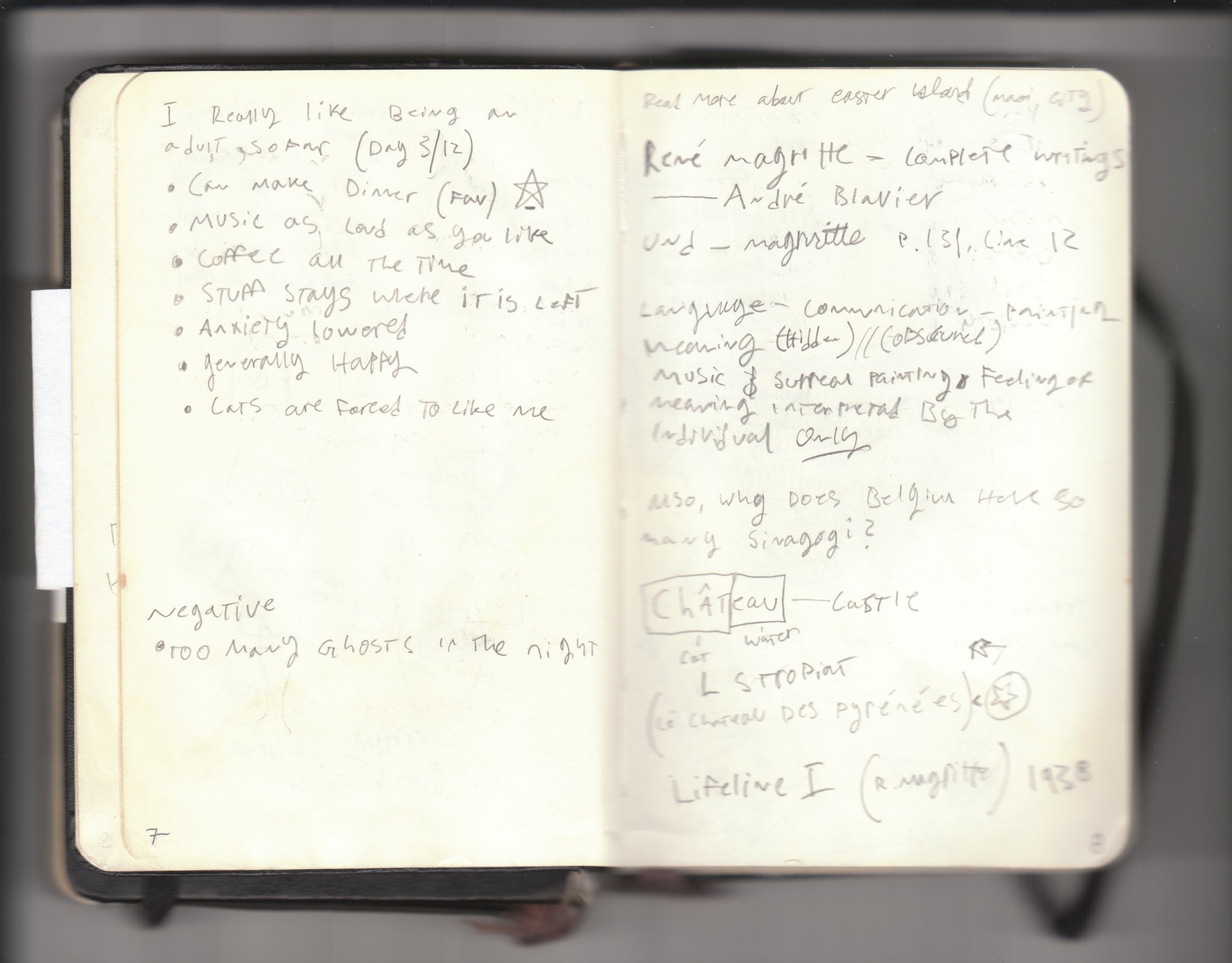 notebook5-v2_Page_009.jpg